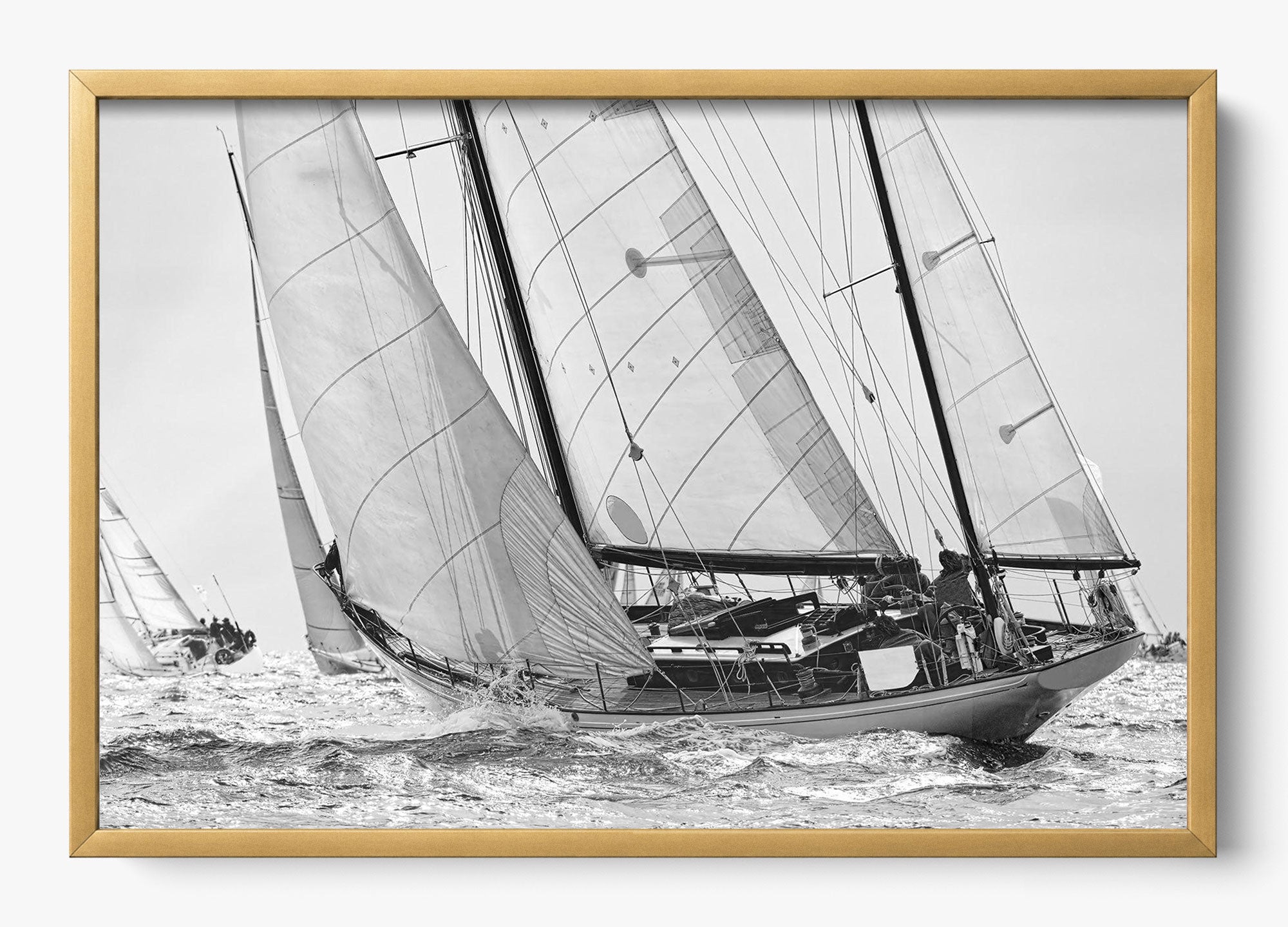 Northward Winds