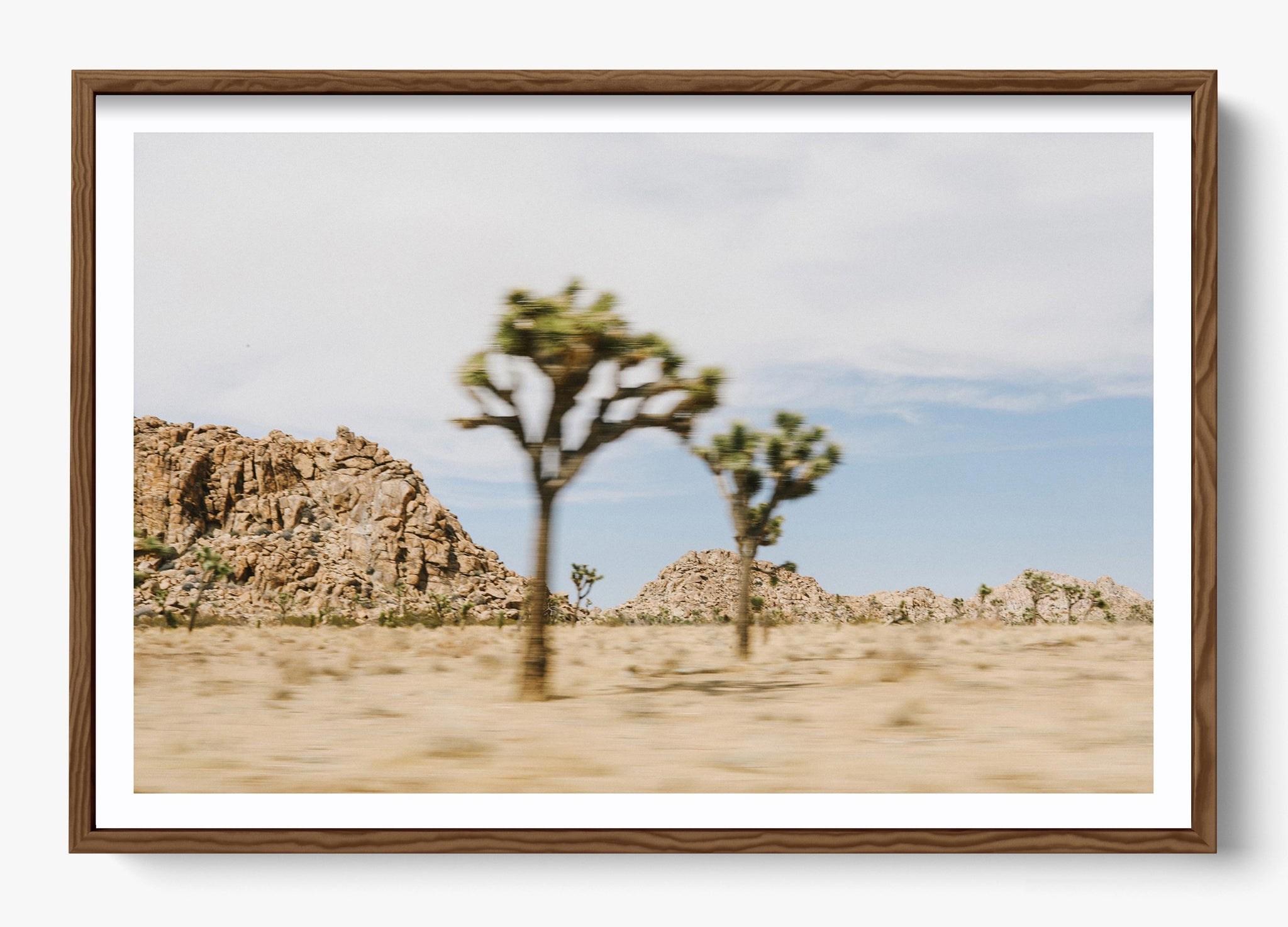 On The Move Joshua Tree