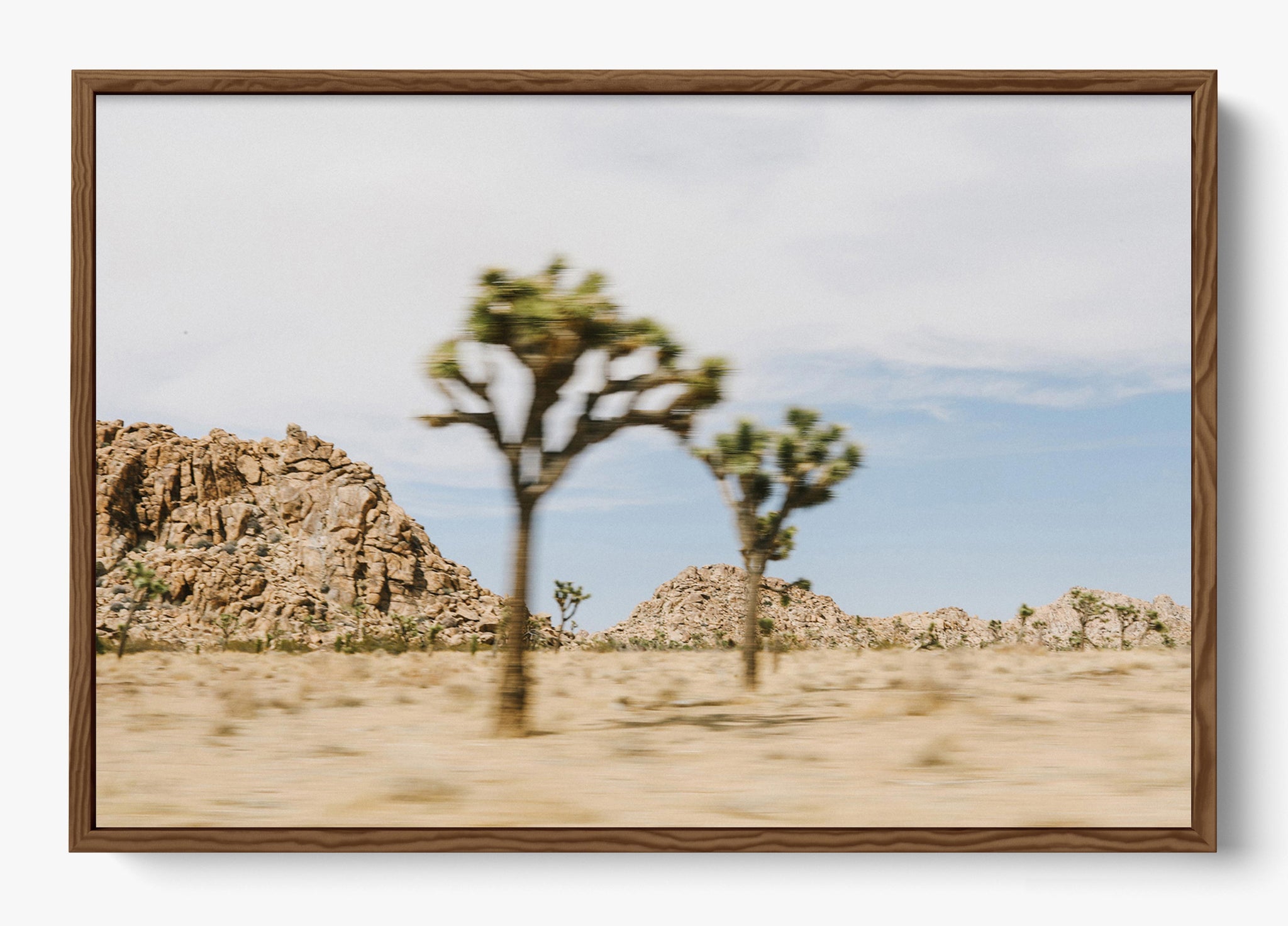 On The Move Joshua Tree
