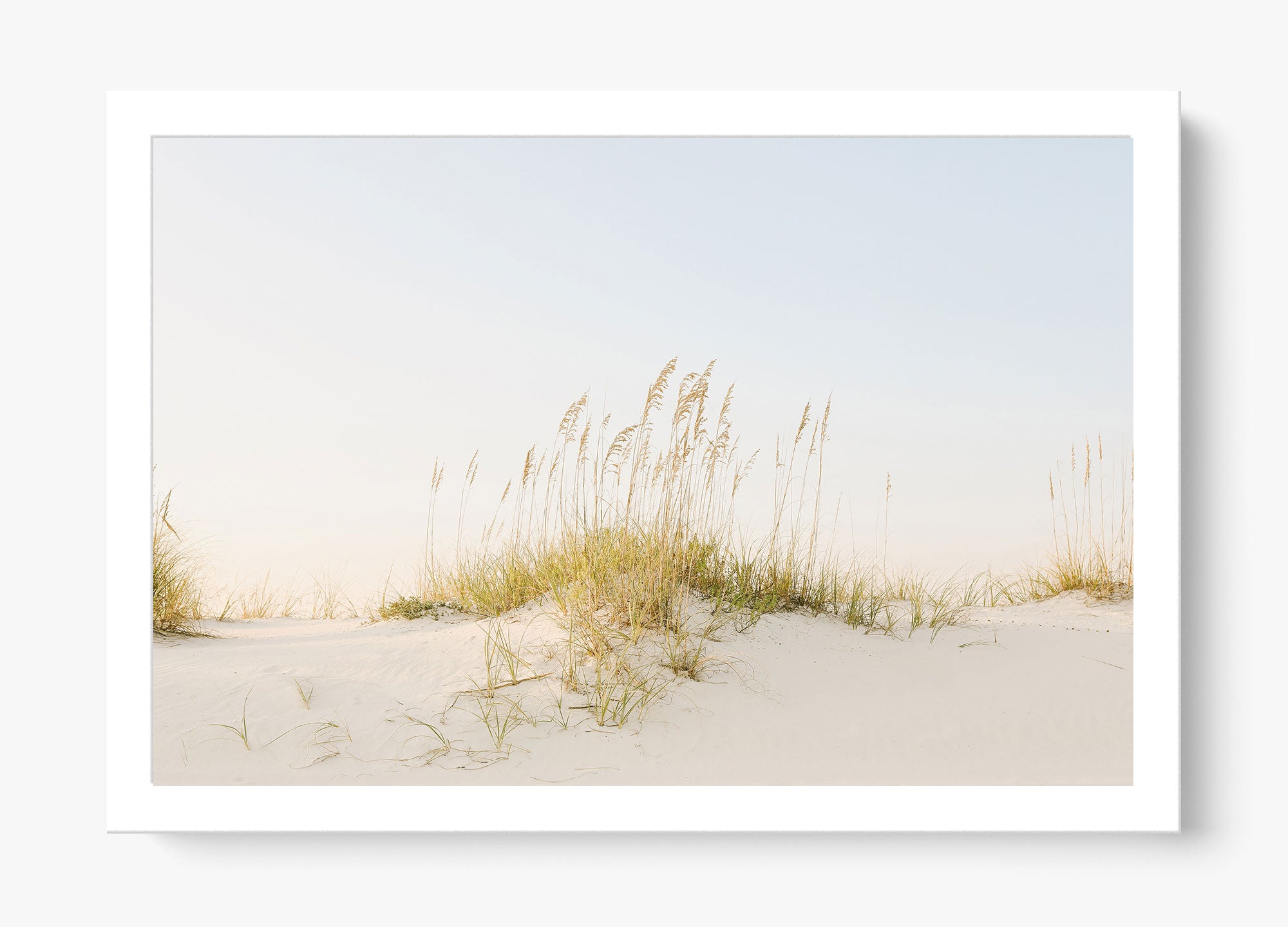 Beyond The Dunes