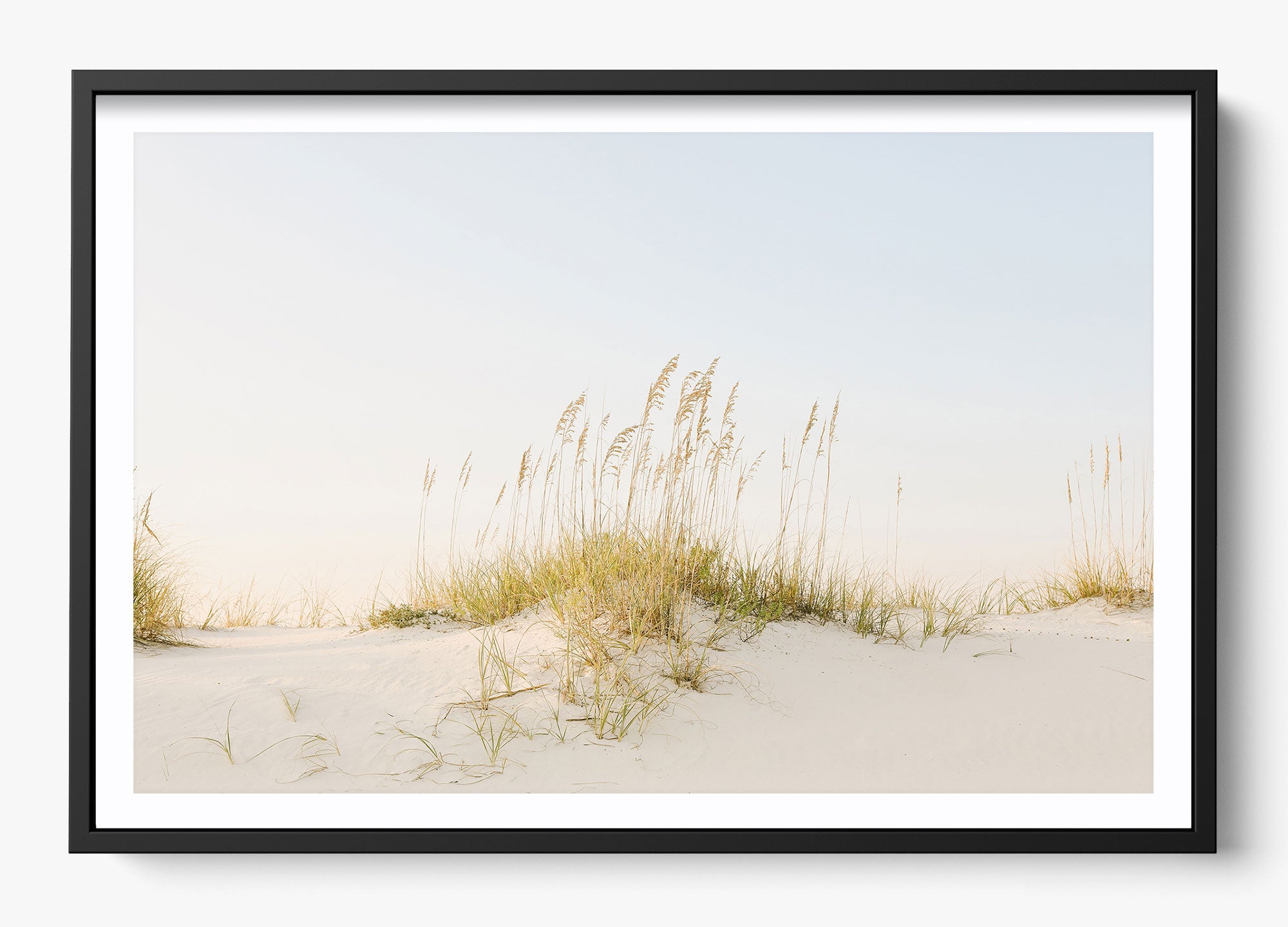 Beyond The Dunes
