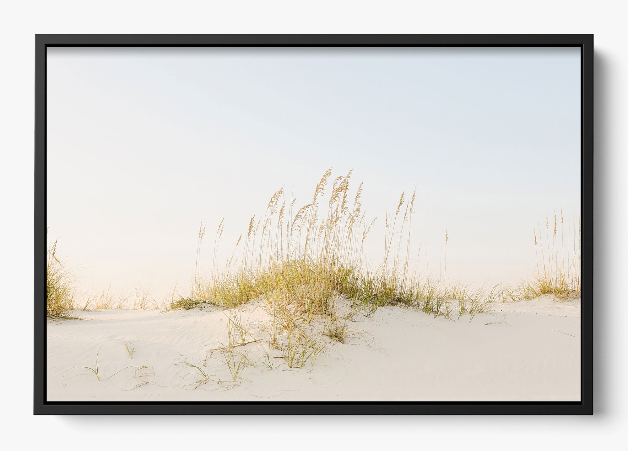 Beyond The Dunes