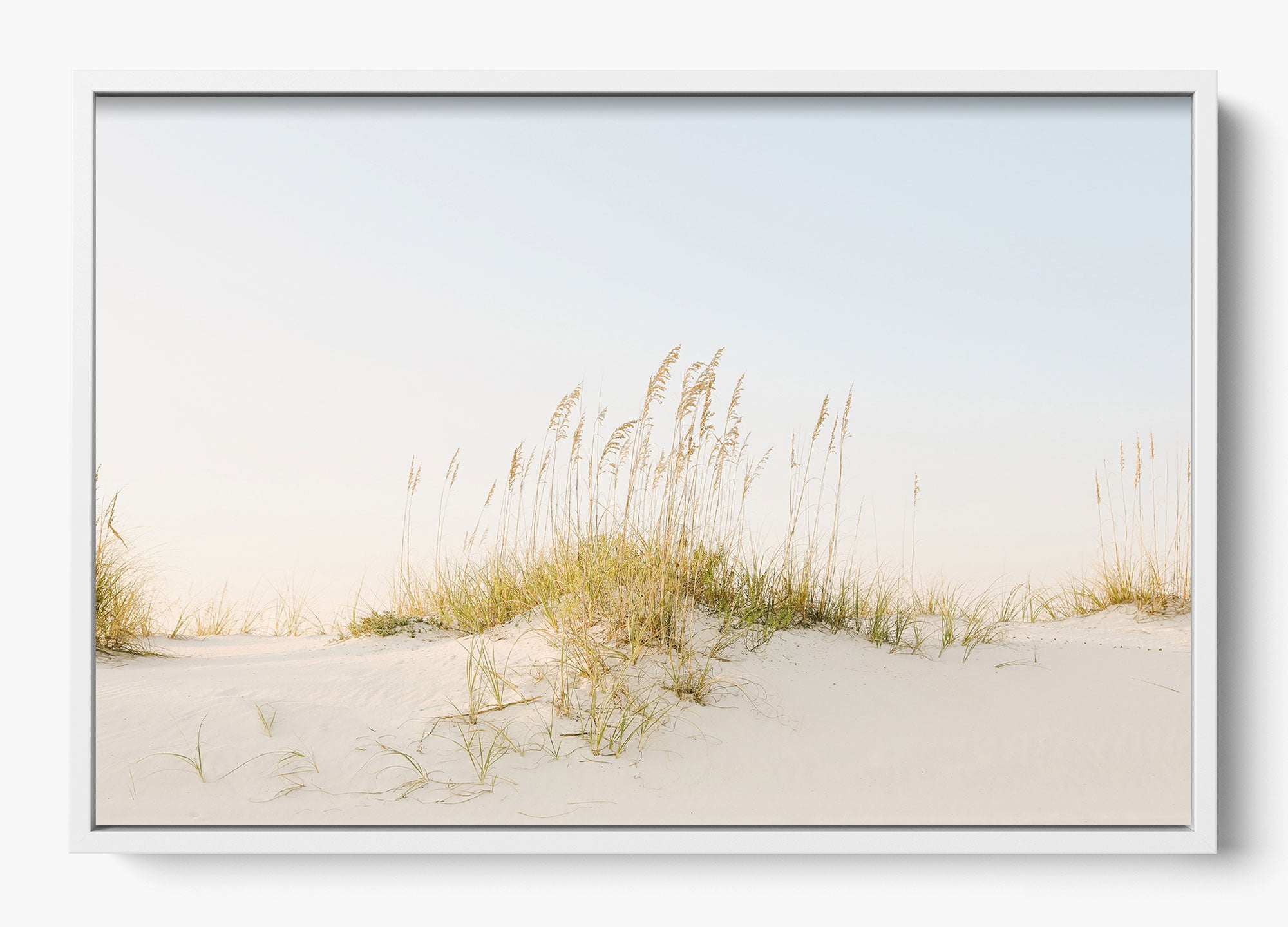 Beyond The Dunes