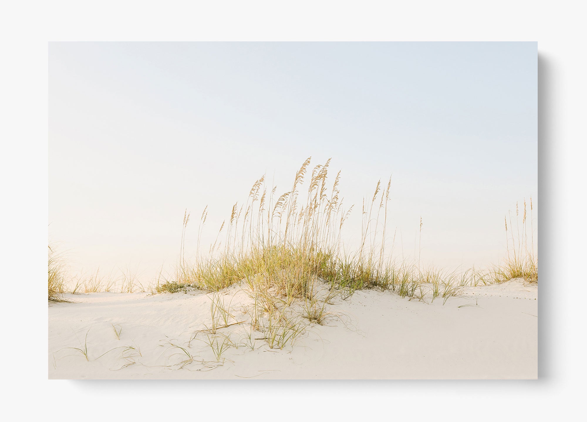 Beyond The Dunes