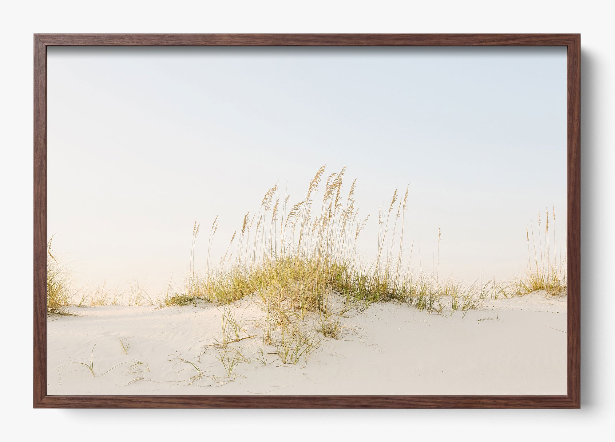 Beyond The Dunes