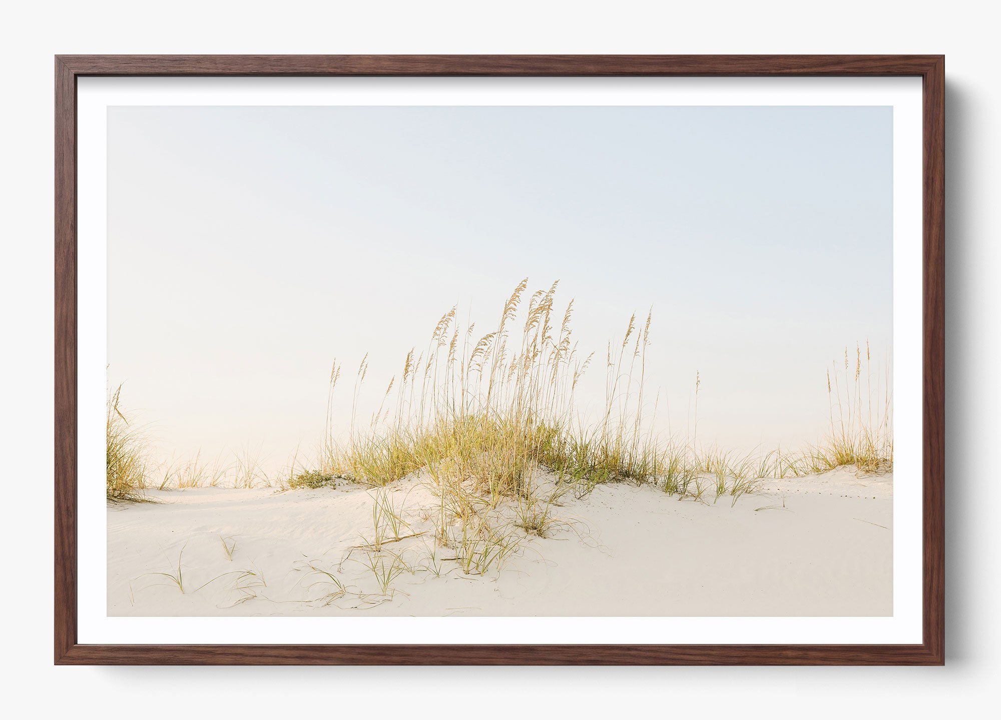 Beyond The Dunes