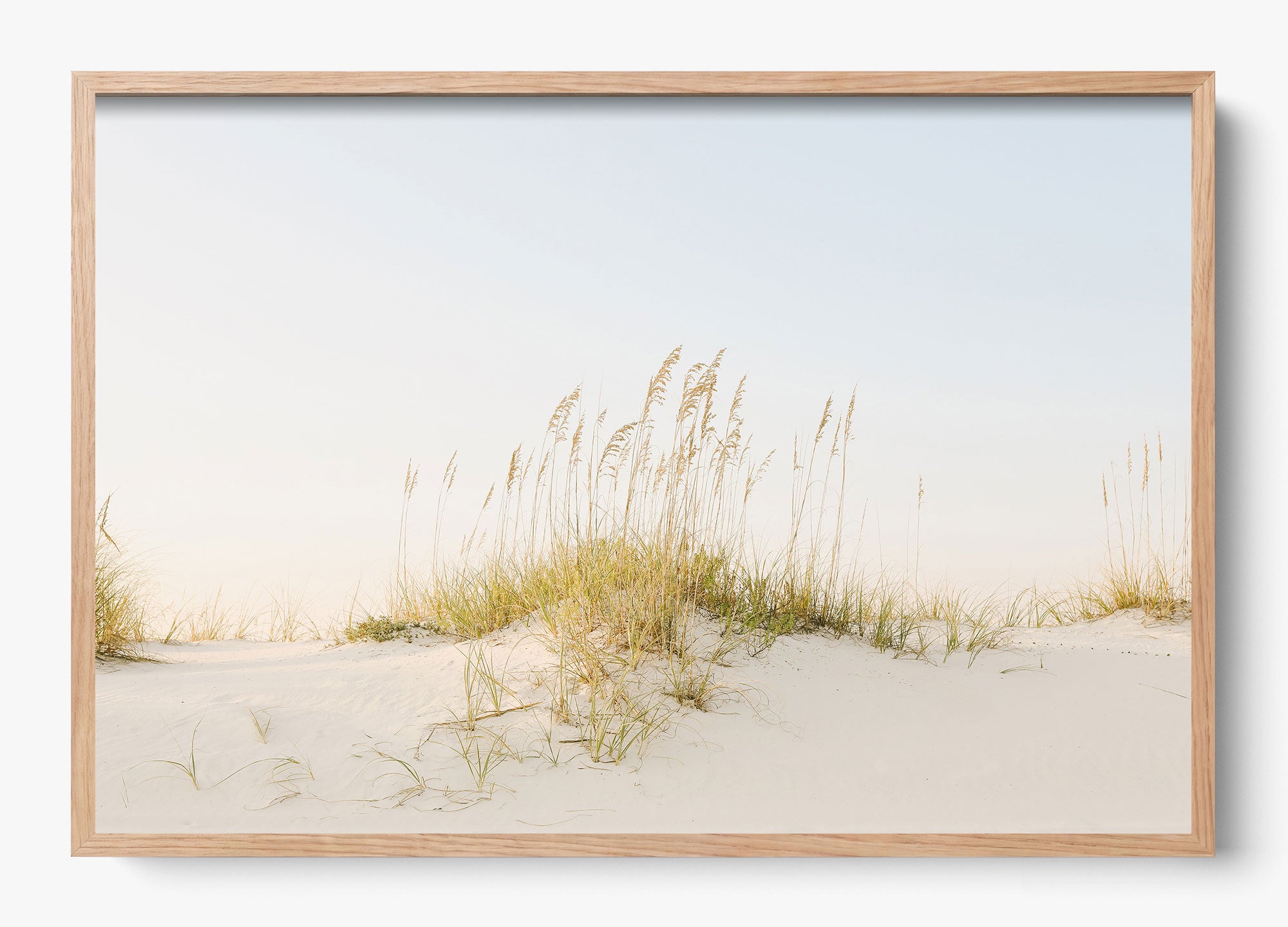 Beyond The Dunes