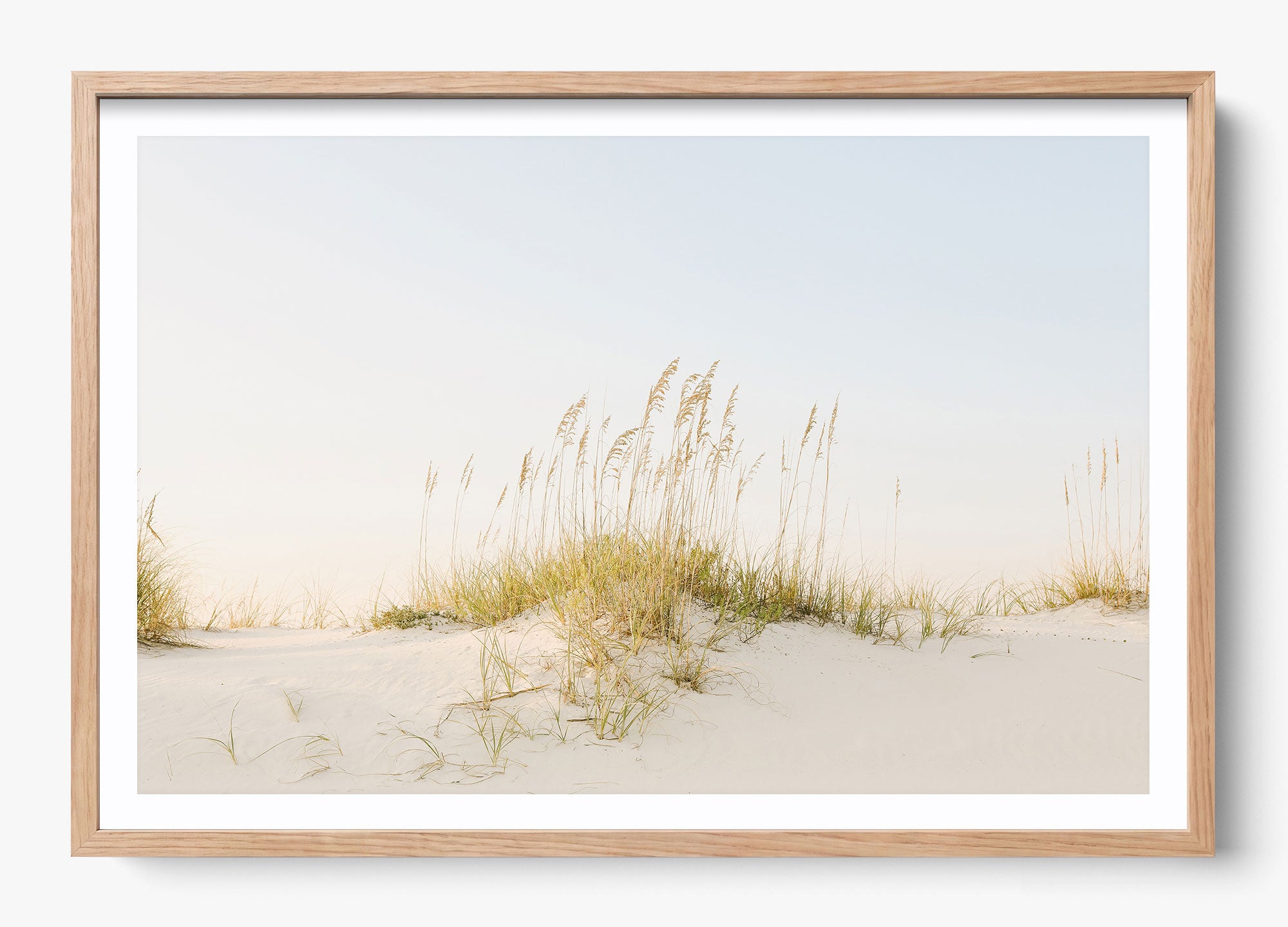 Beyond The Dunes