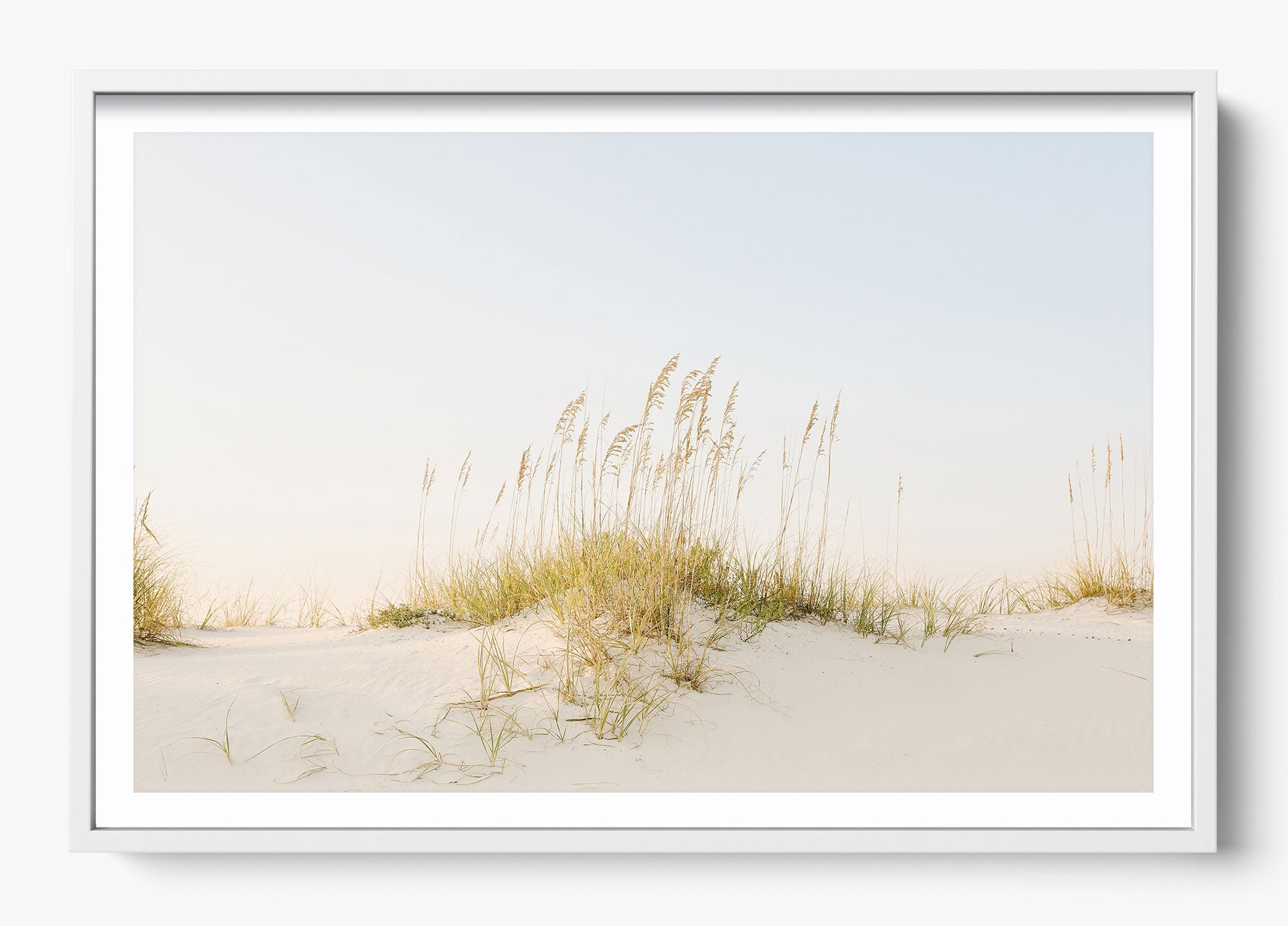 Beyond The Dunes