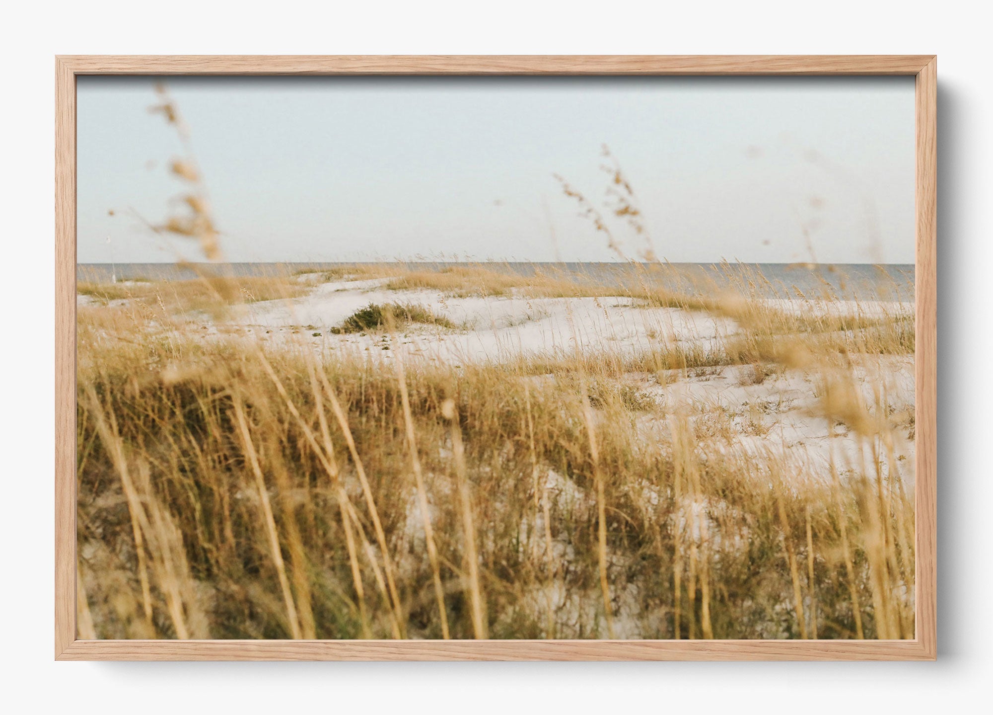 On The Dunes