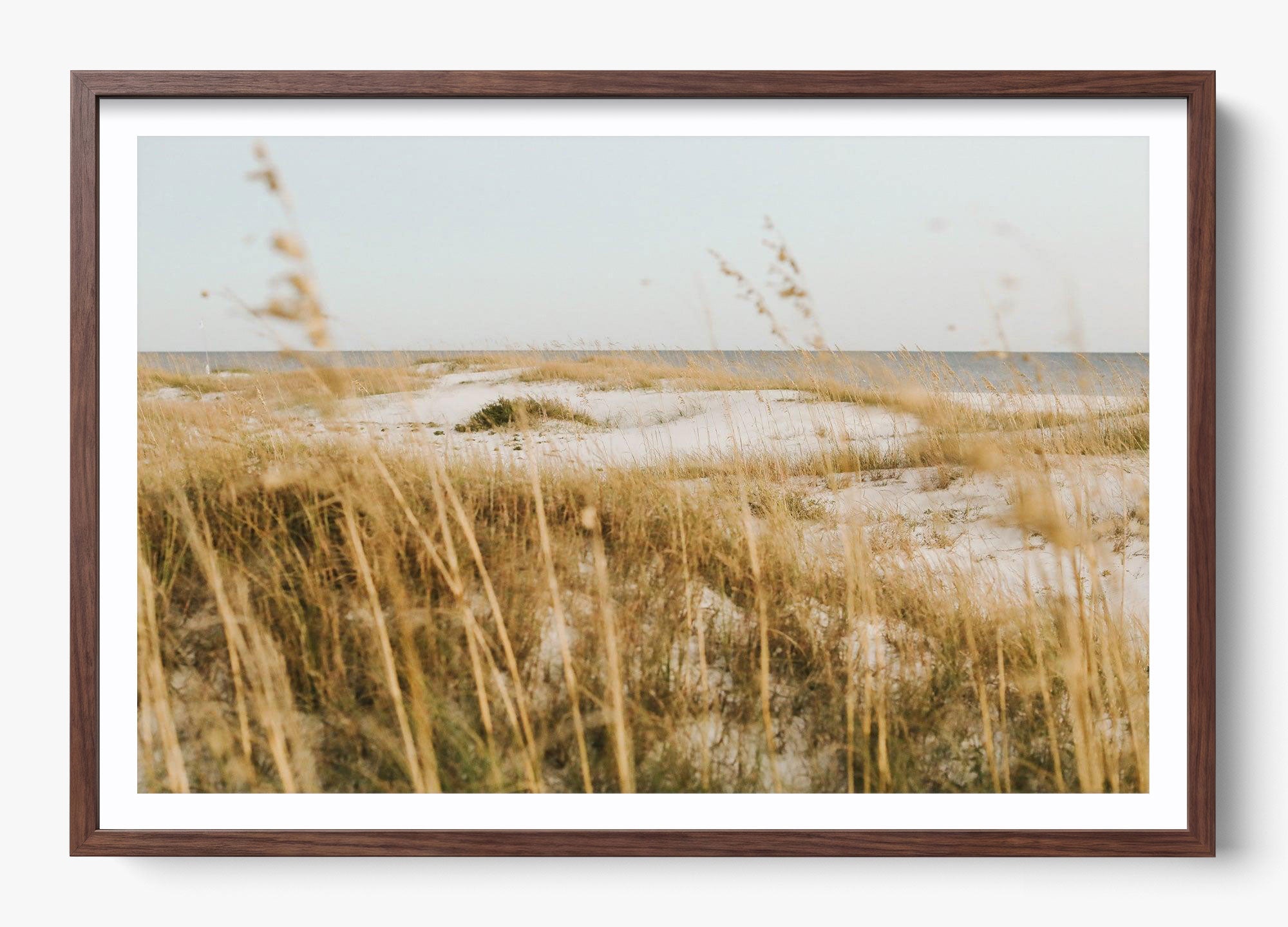 On The Dunes