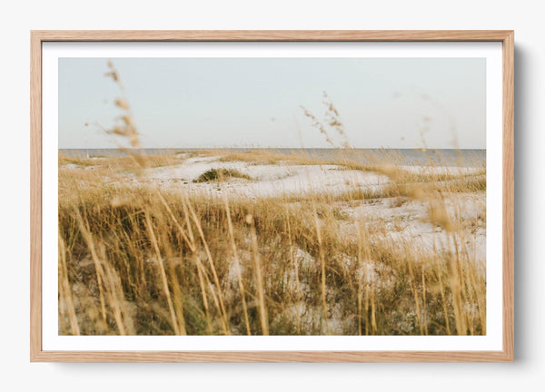 On The Dunes in a Hickory frame