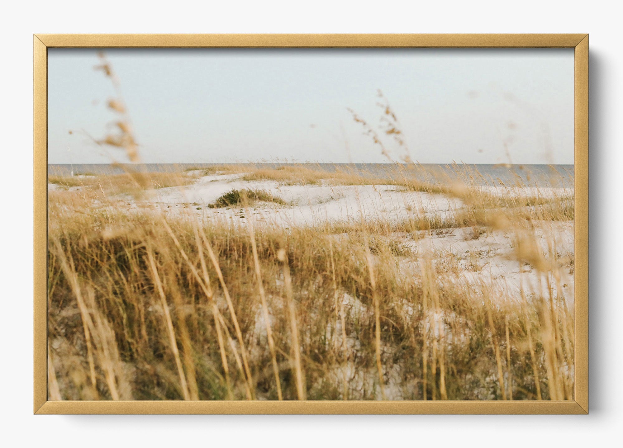 On The Dunes
