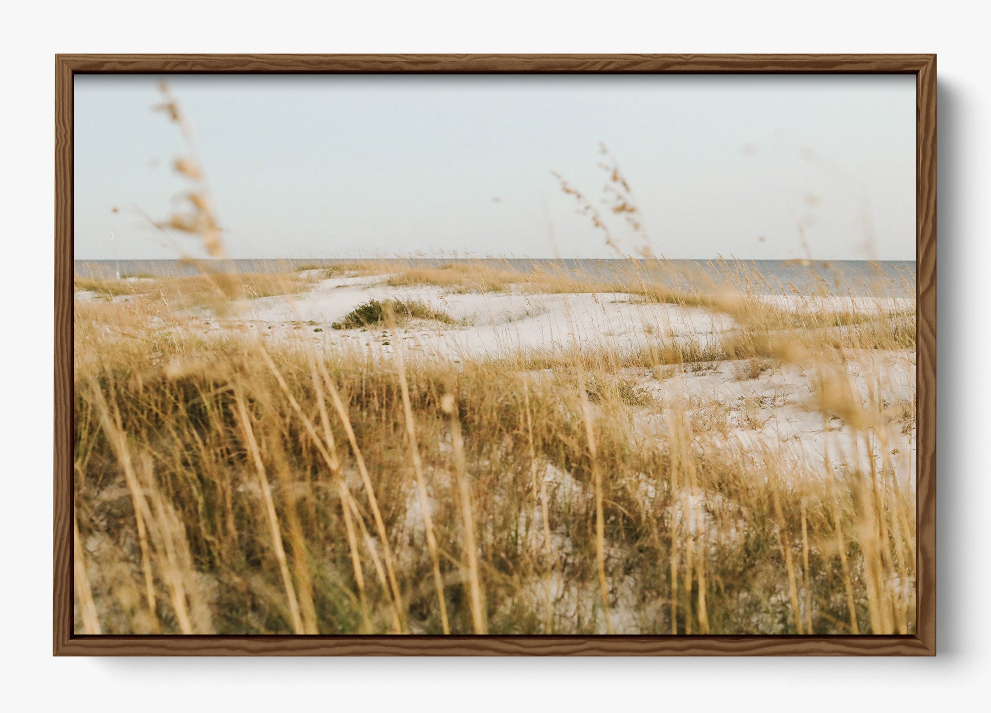On The Dunes