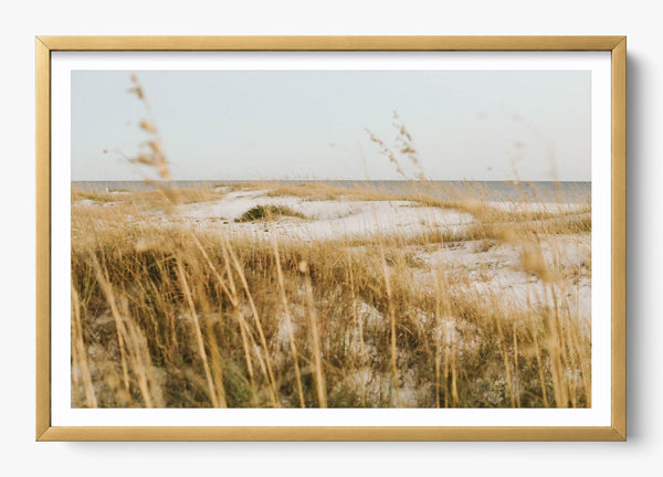 On The Dunes in a Gold frame