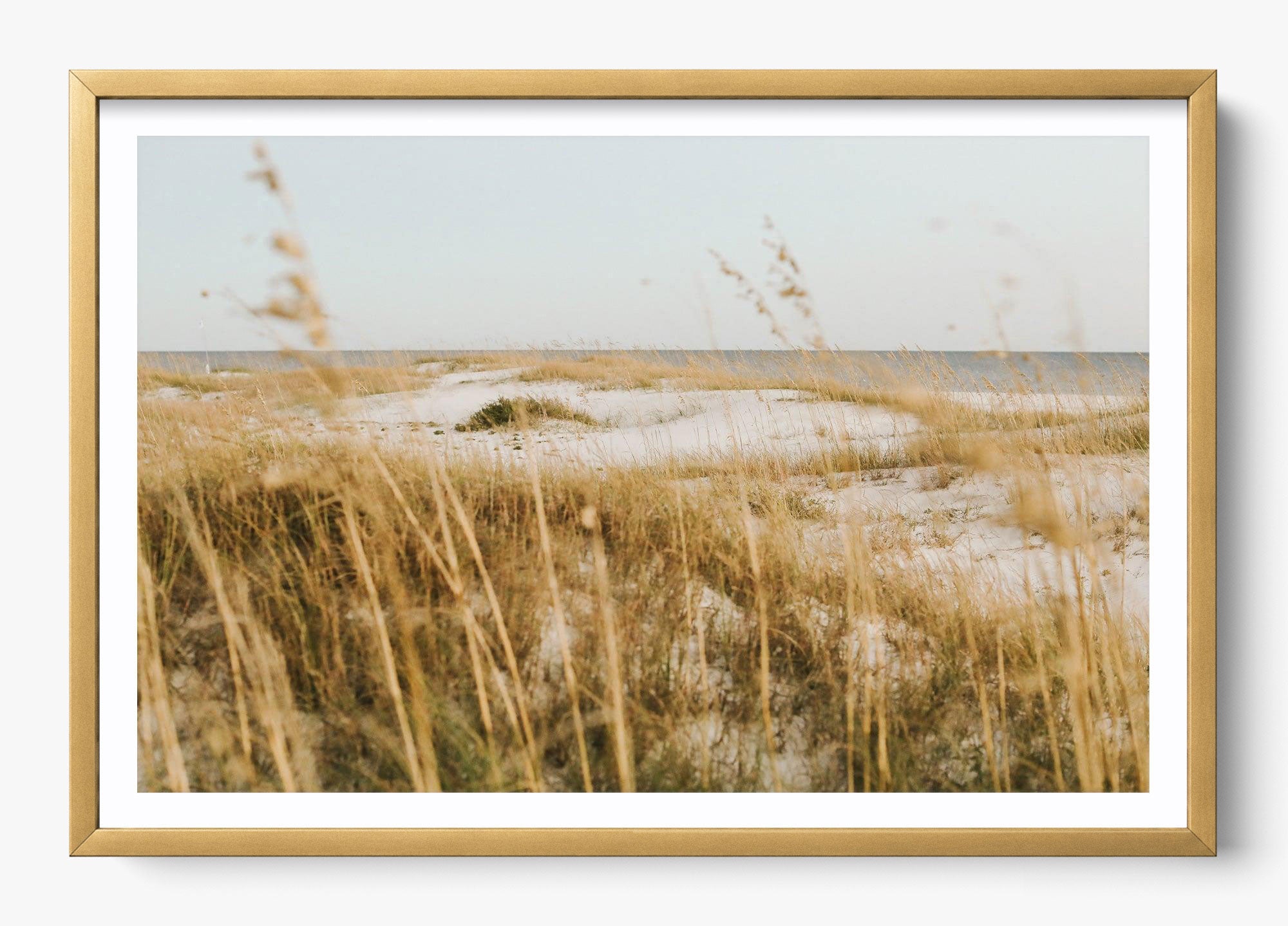 On The Dunes