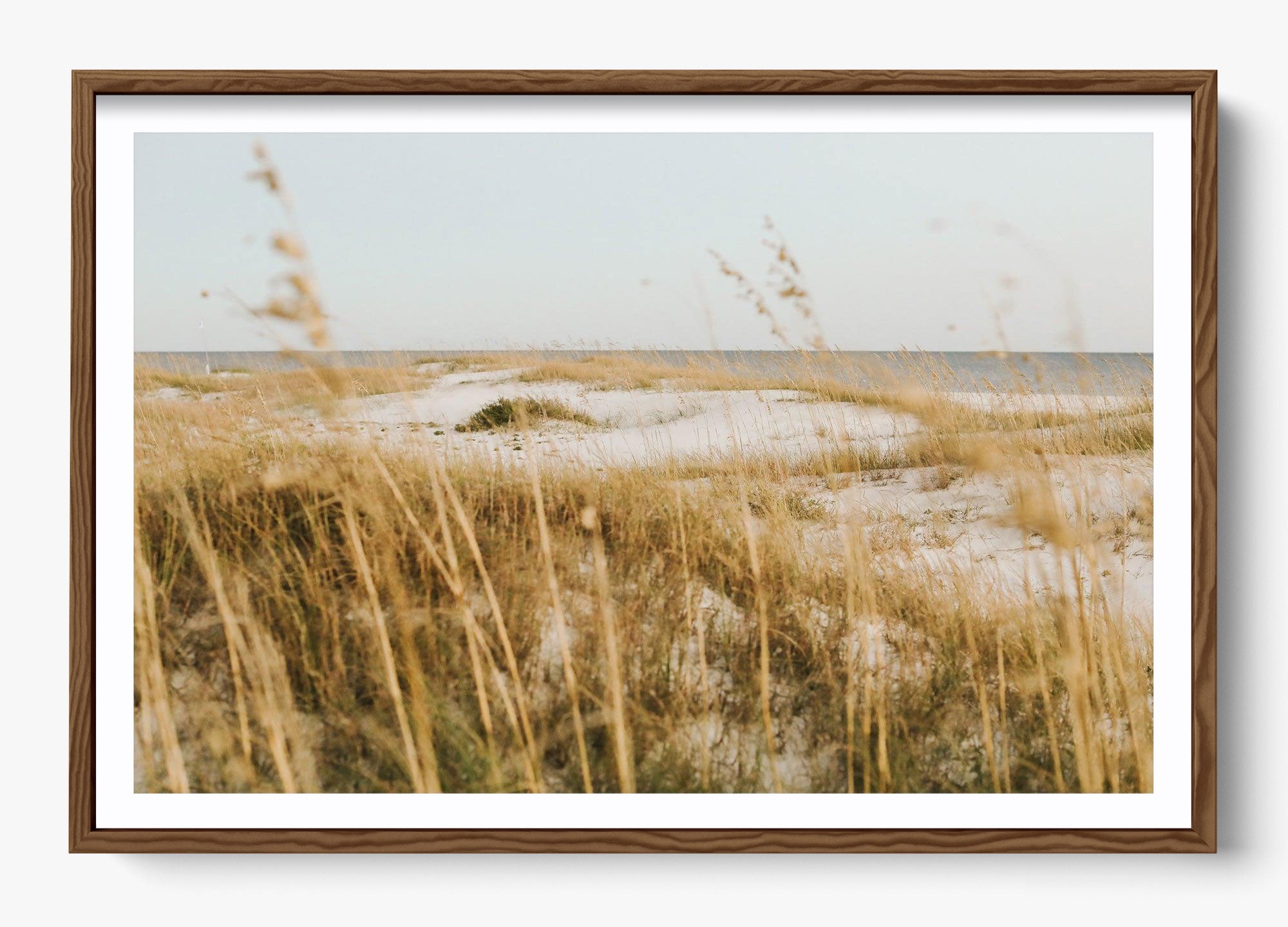On The Dunes