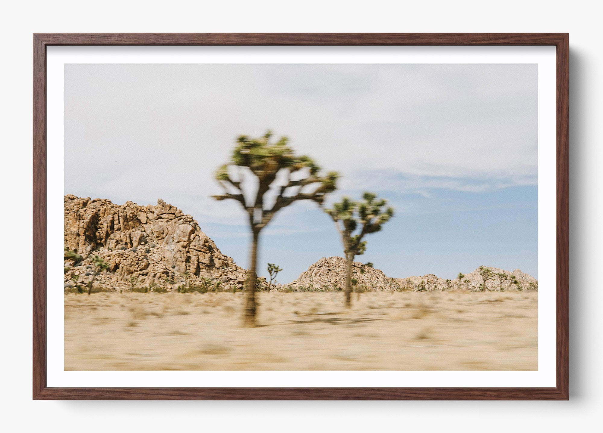 On The Move Joshua Tree