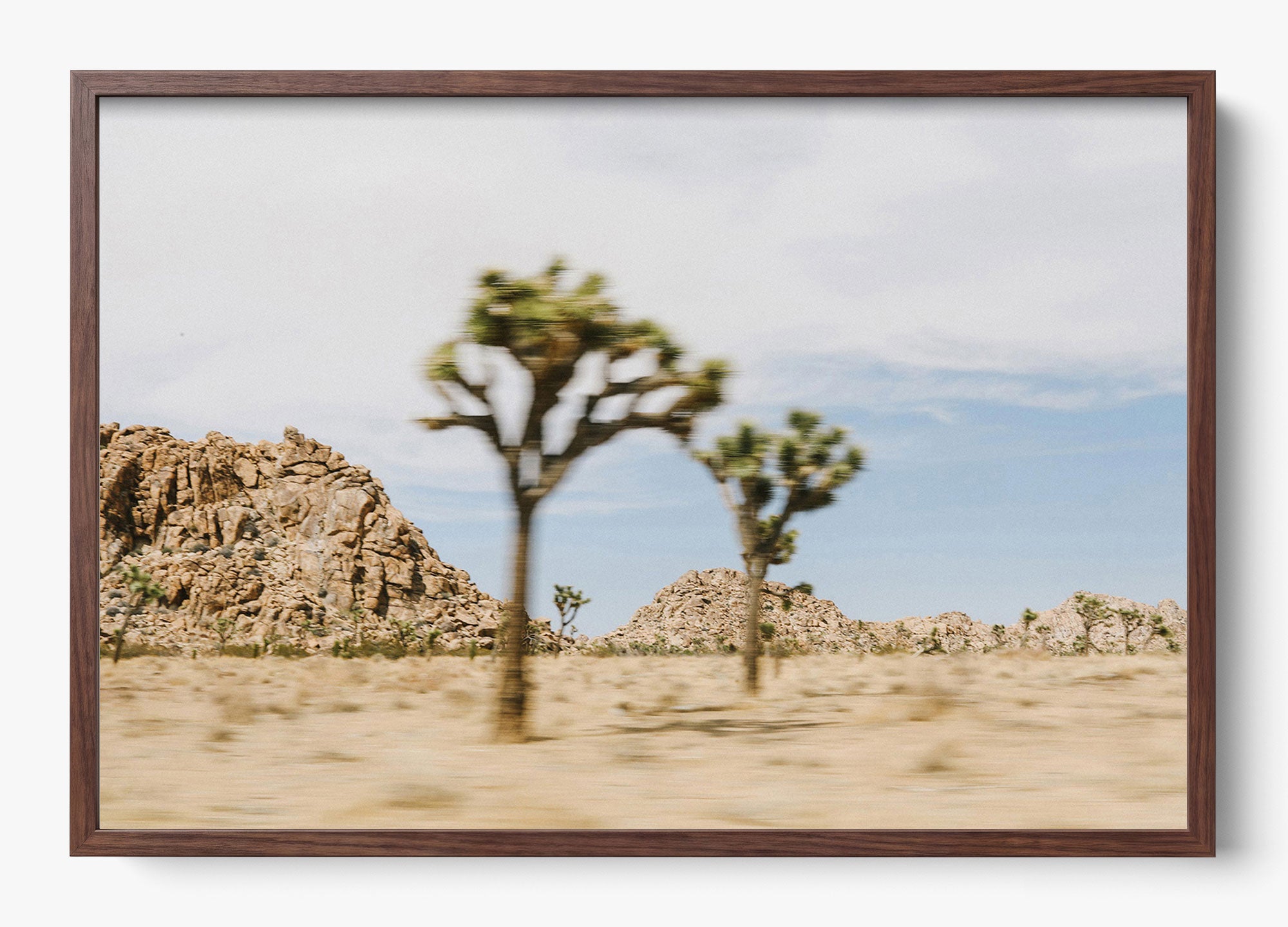 On The Move Joshua Tree