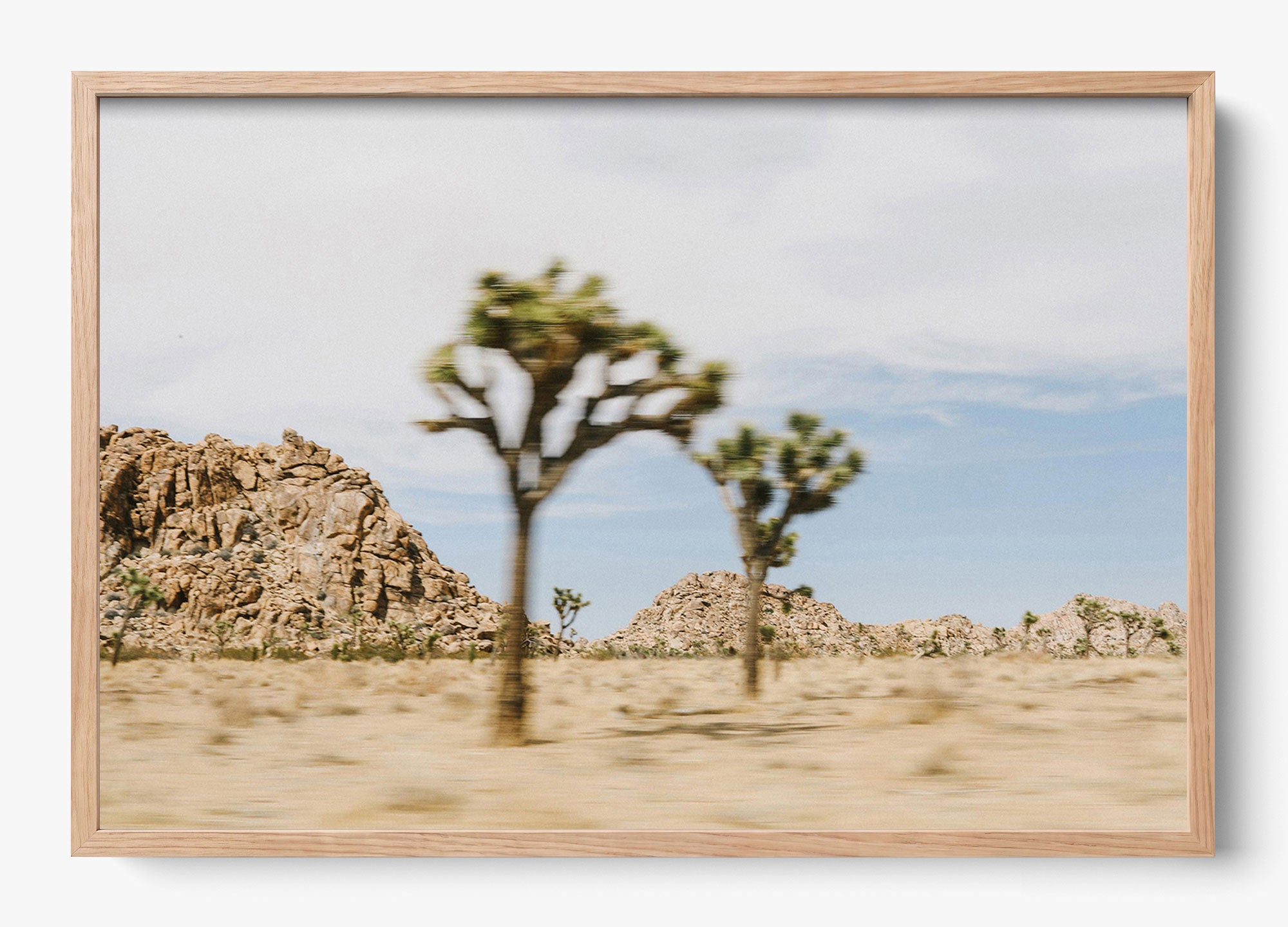 On The Move Joshua Tree