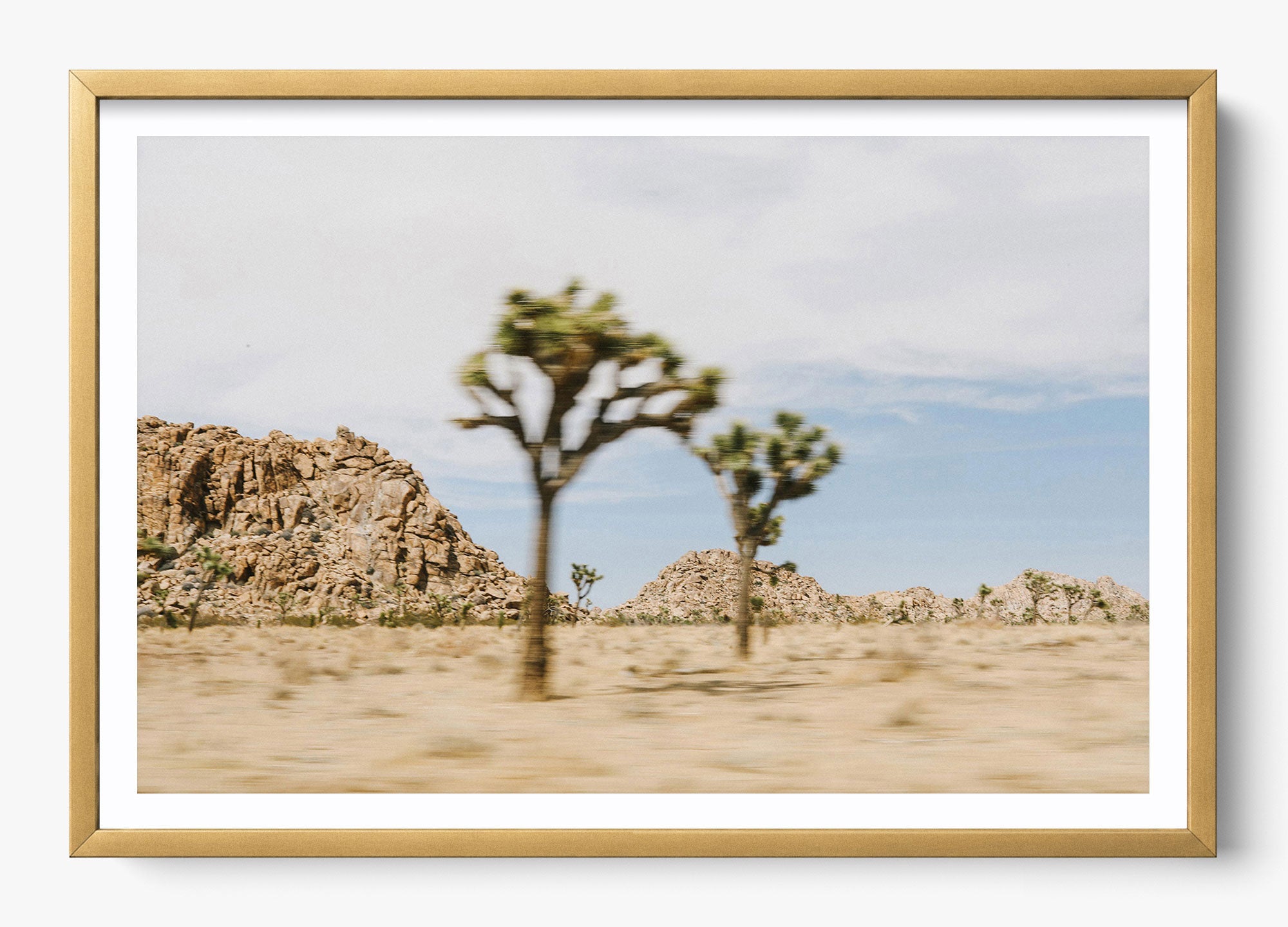 On The Move Joshua Tree