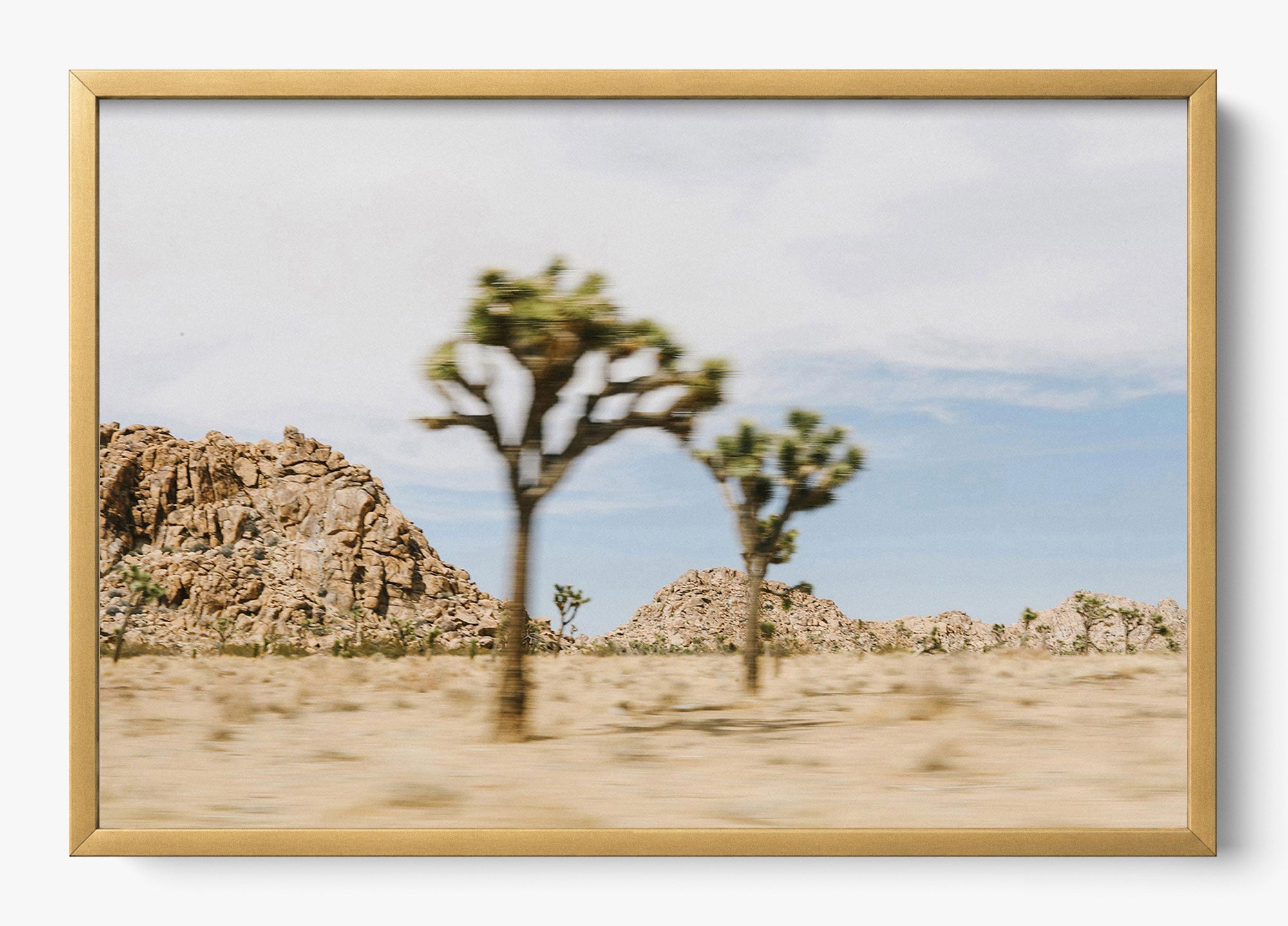 On The Move Joshua Tree