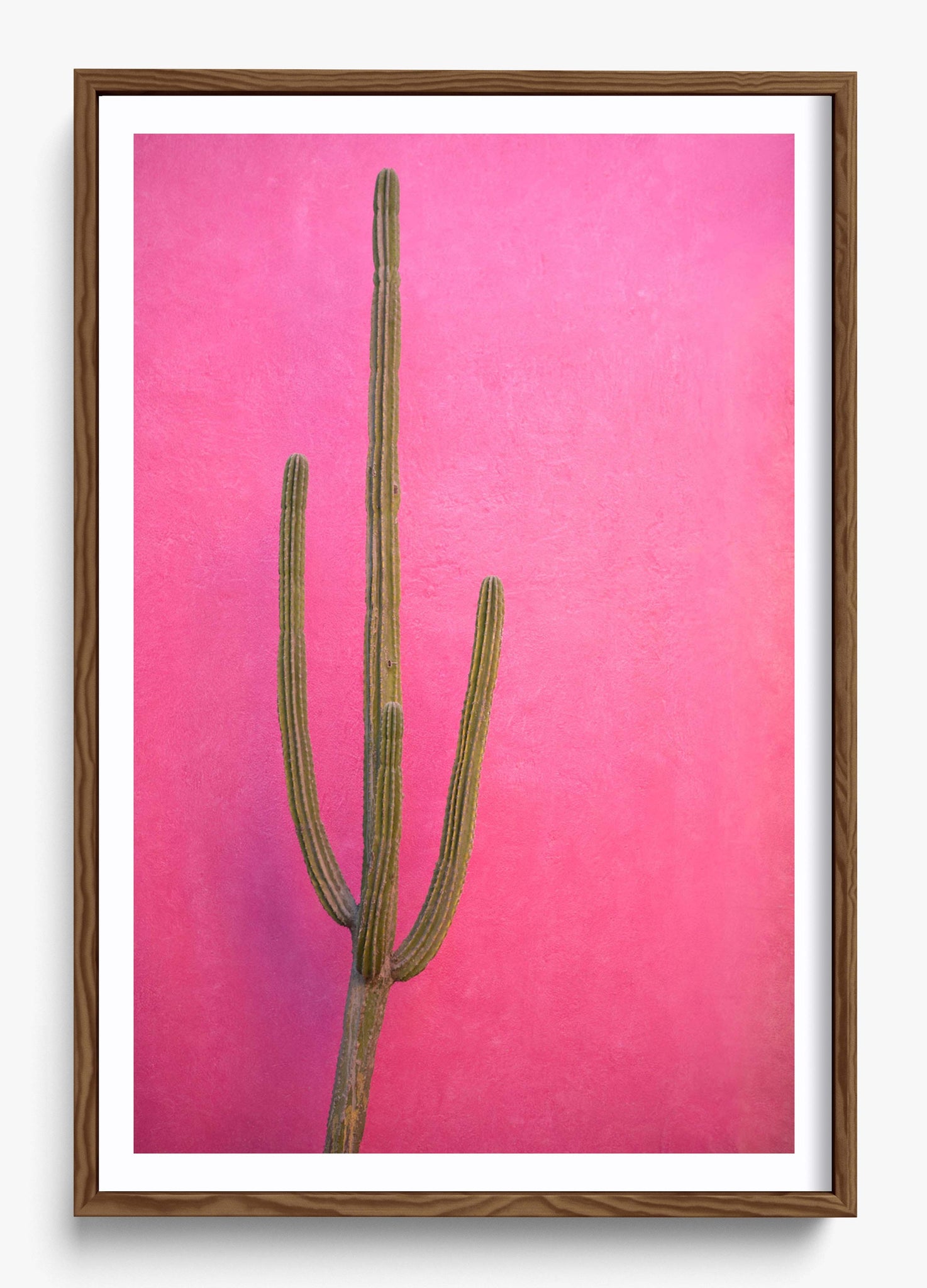 Cactus Pink