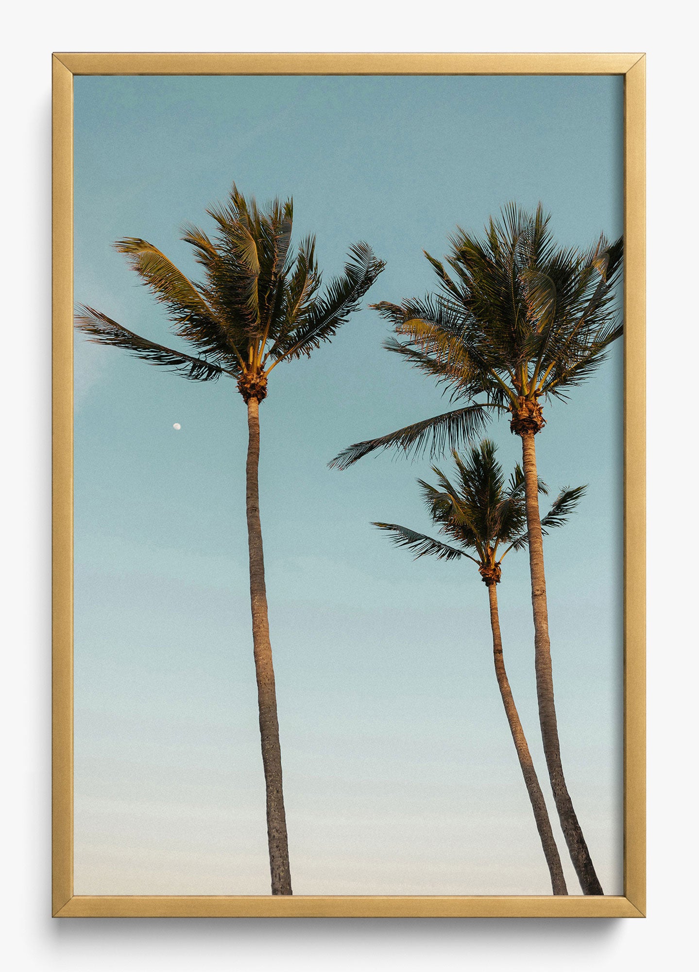 Palm Beach