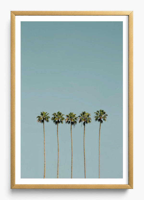 Palm Society in a Gold frame