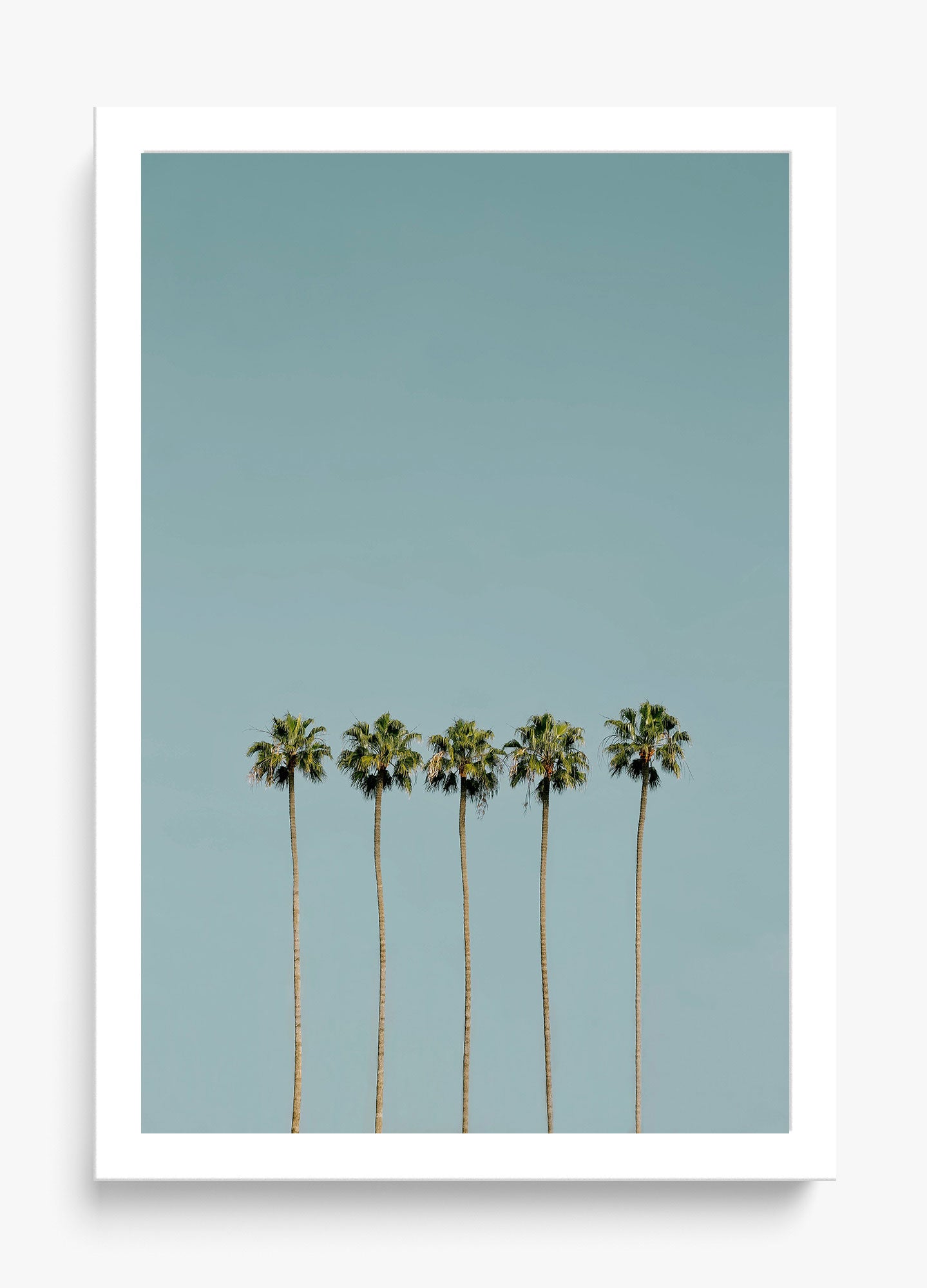 Palm Society Unframed