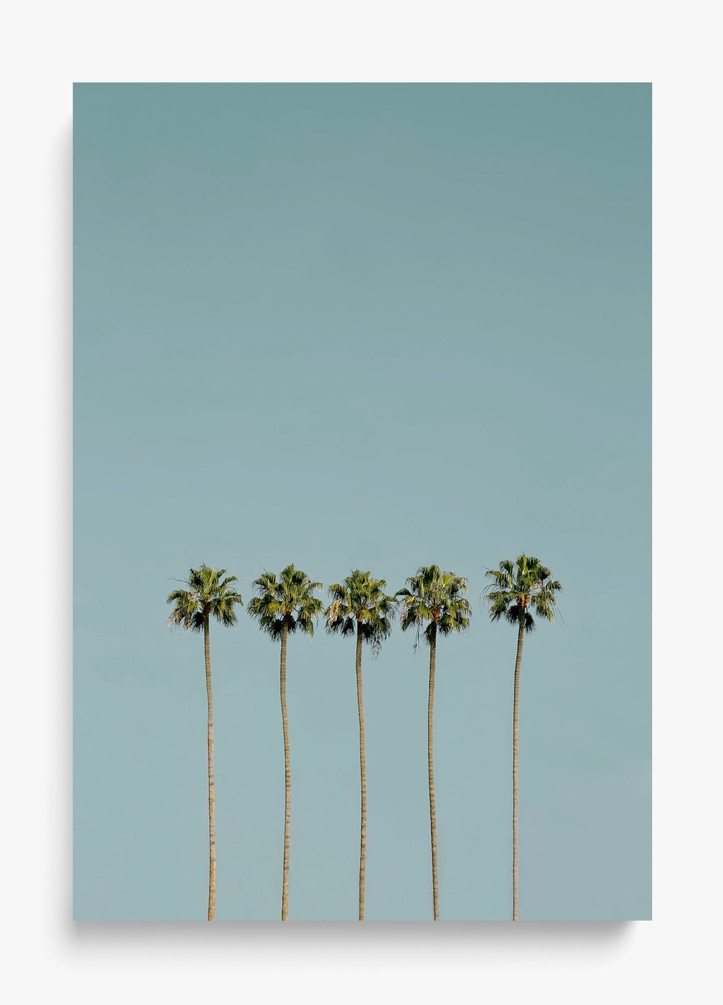 Palm Society Unframed