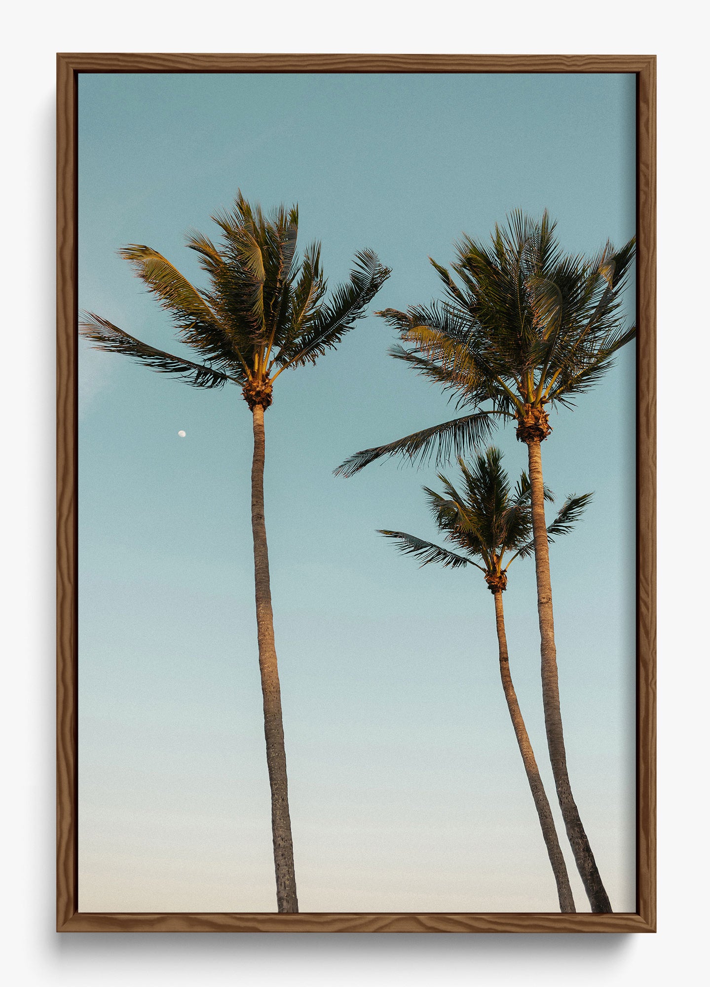 Palm Beach