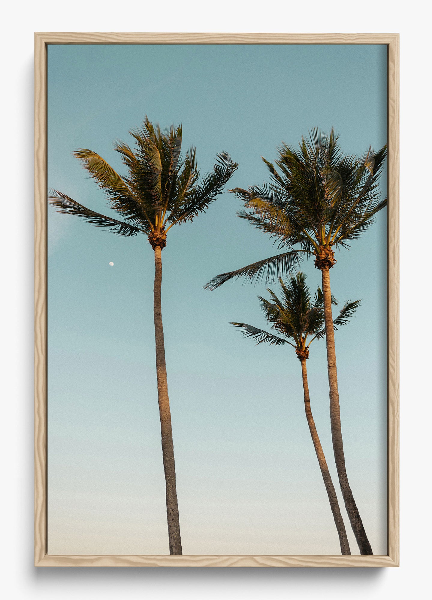 Palm Beach