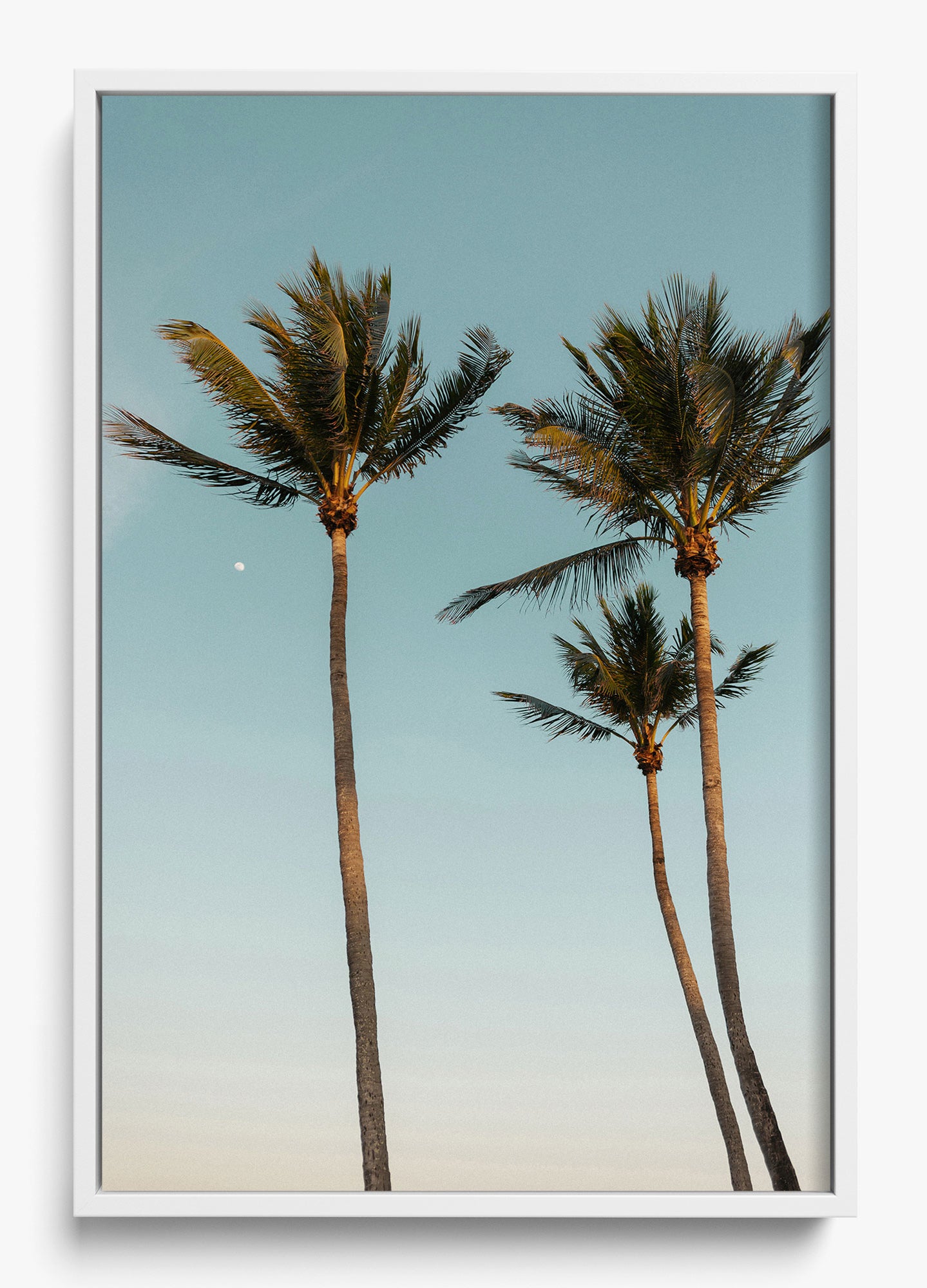 Palm Beach