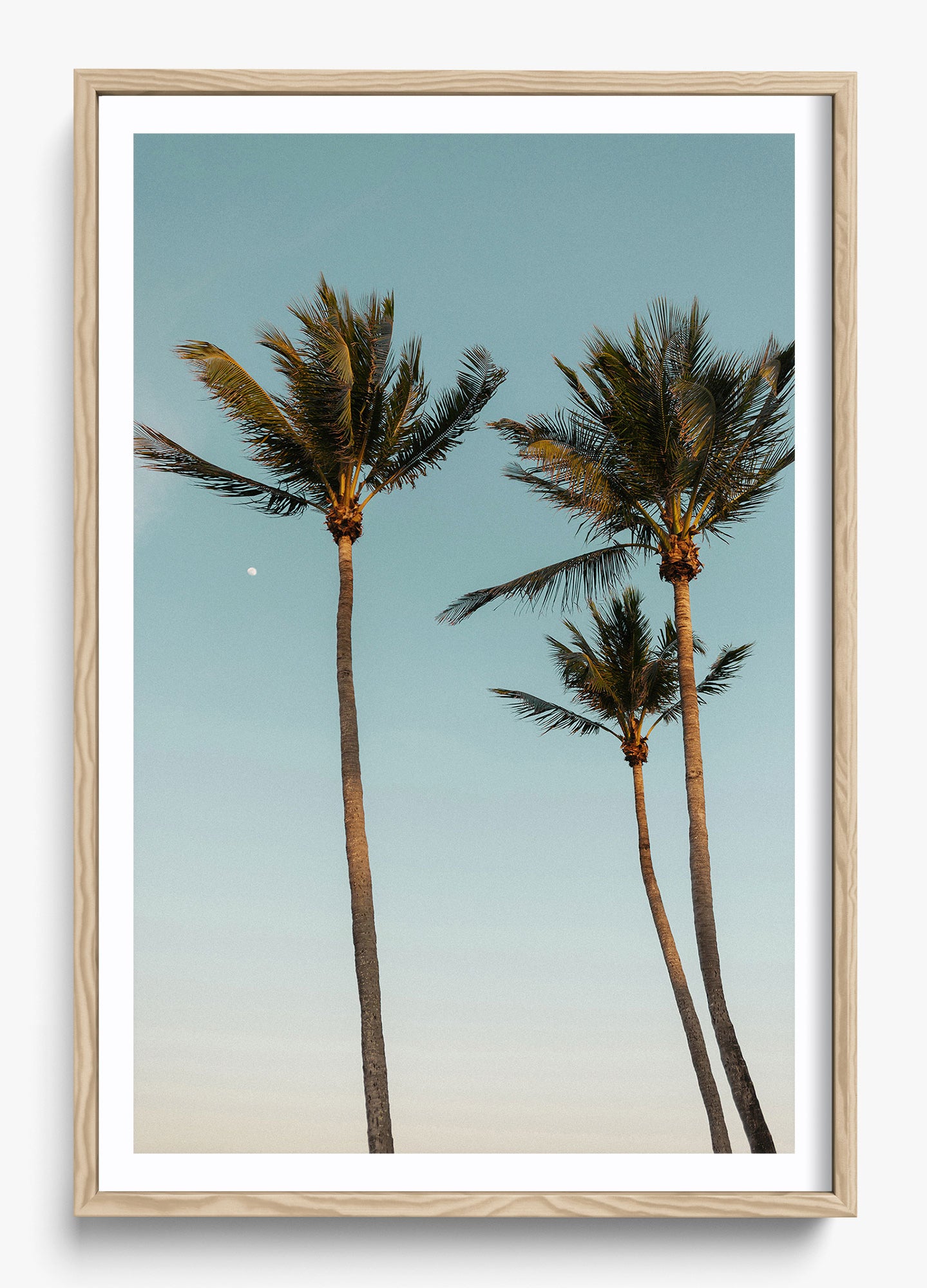 Palm Beach