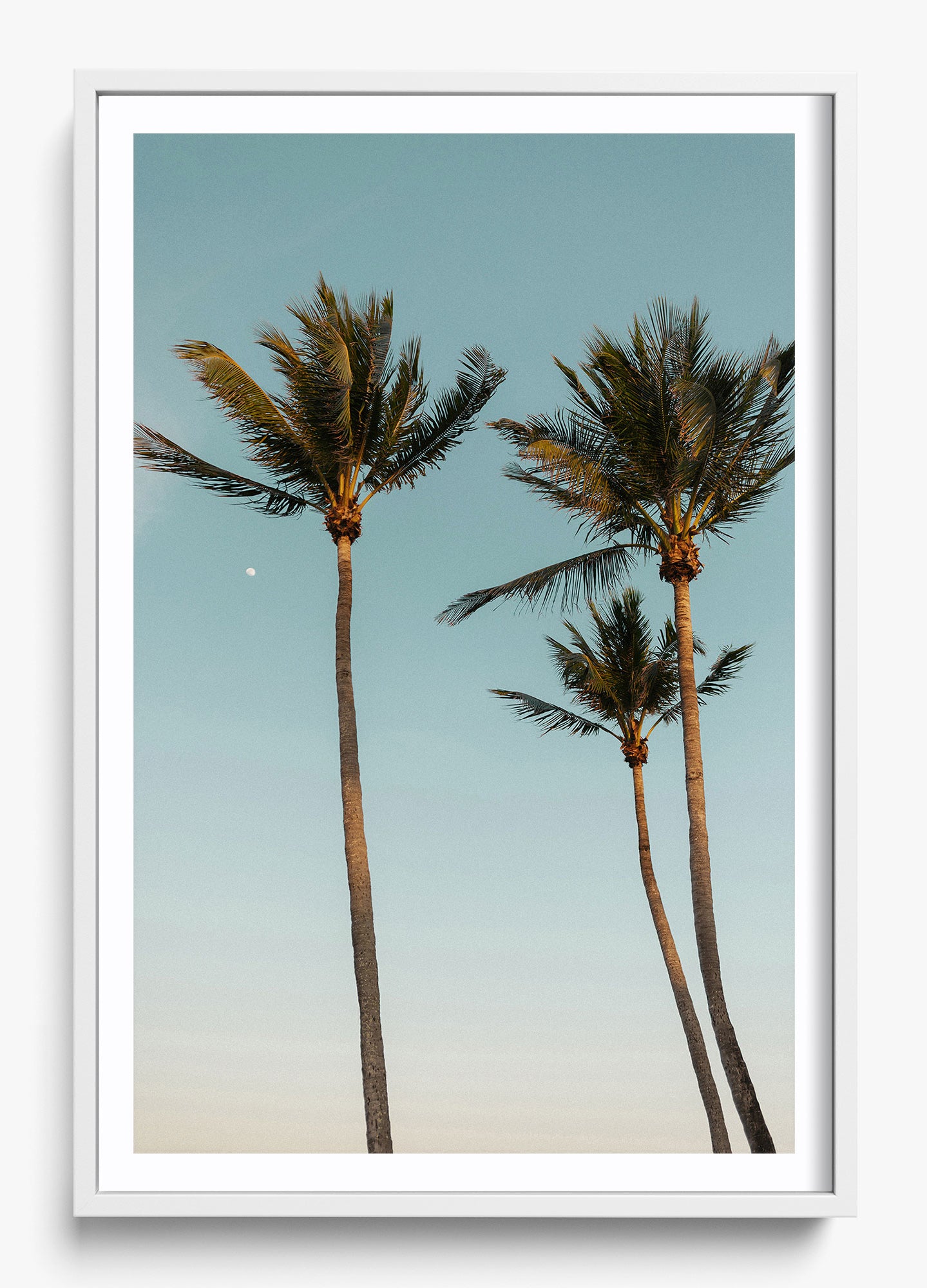 Palm Beach