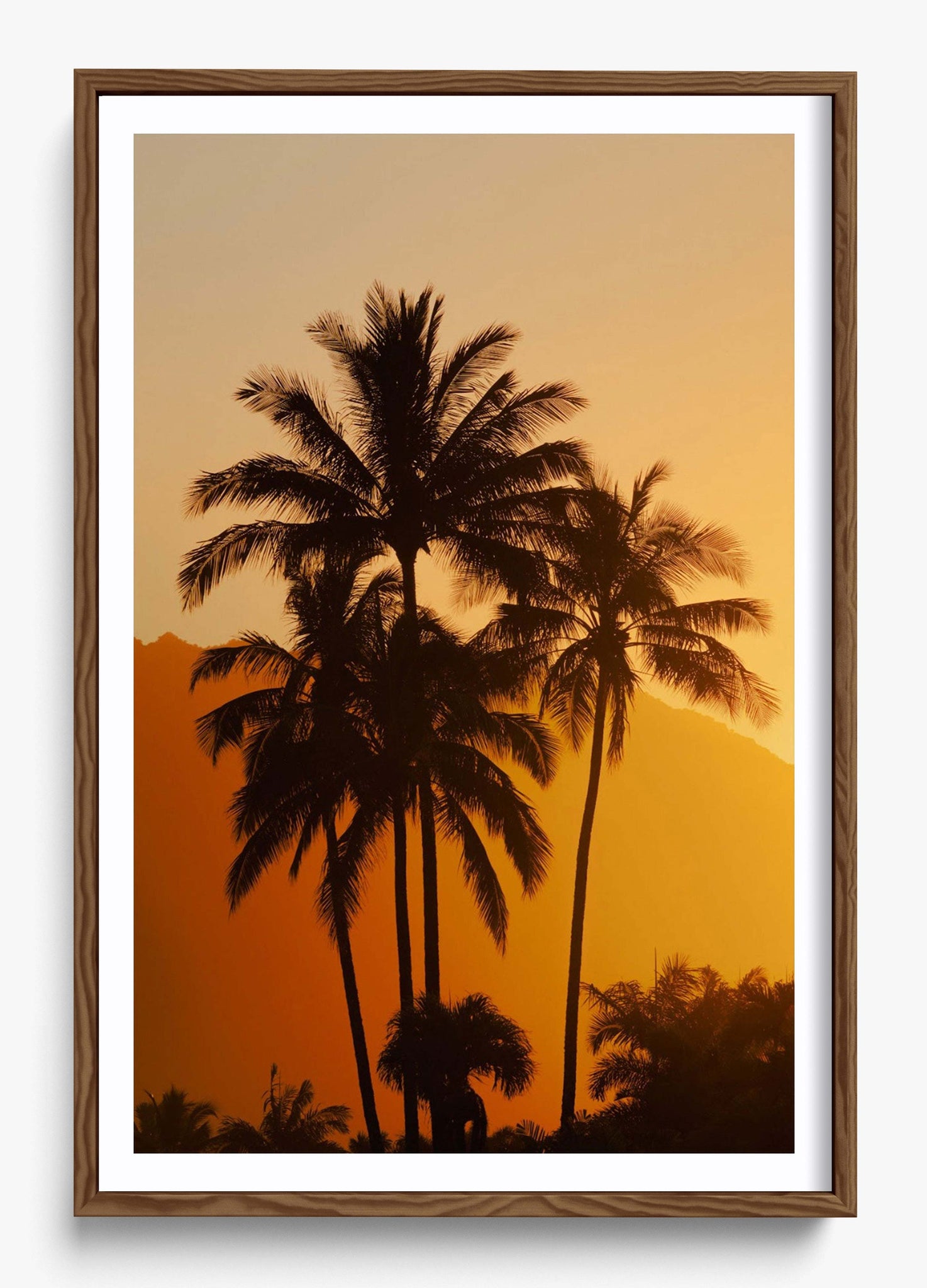 Palms At Sunrise