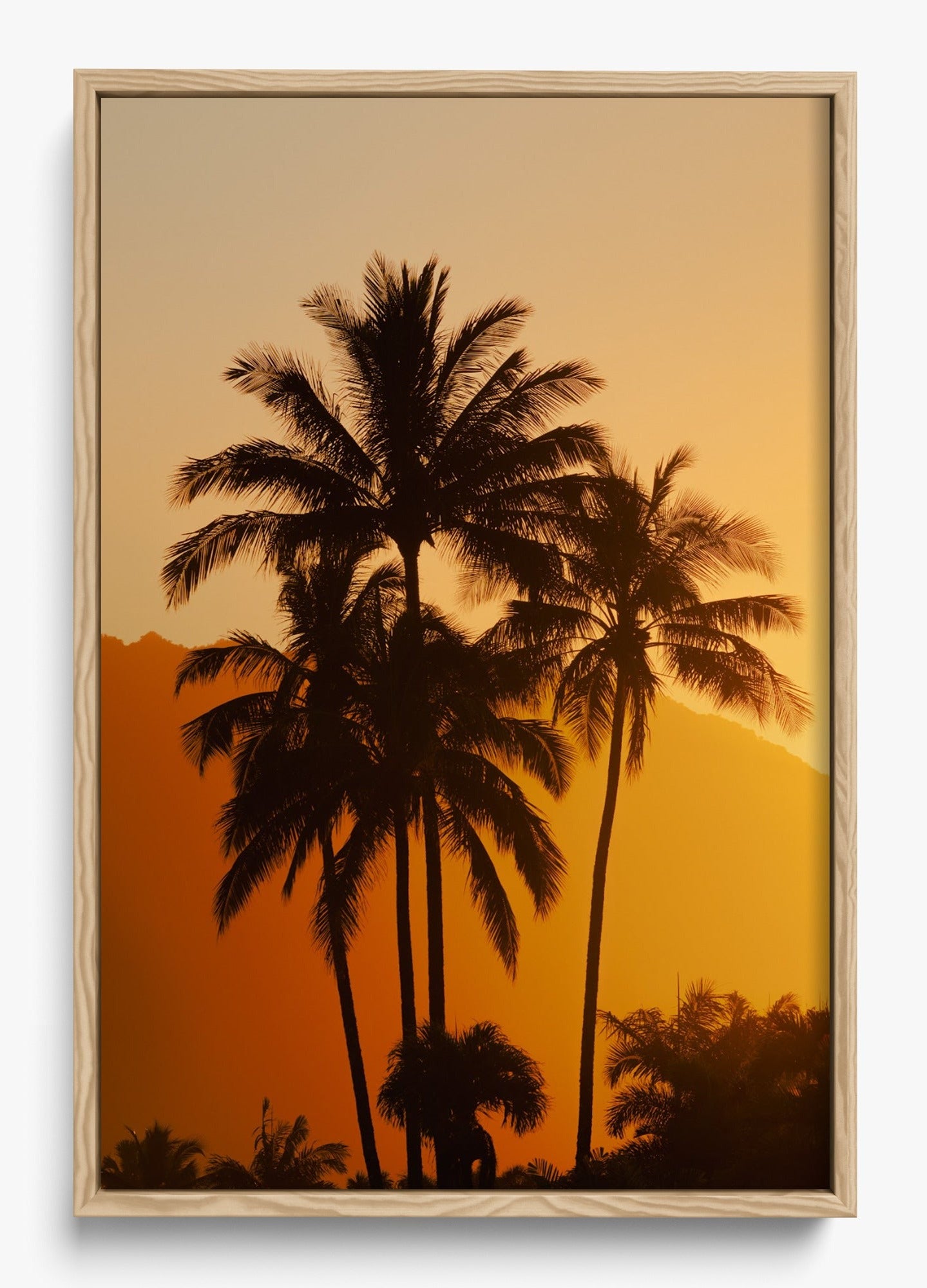 Palms At Sunrise