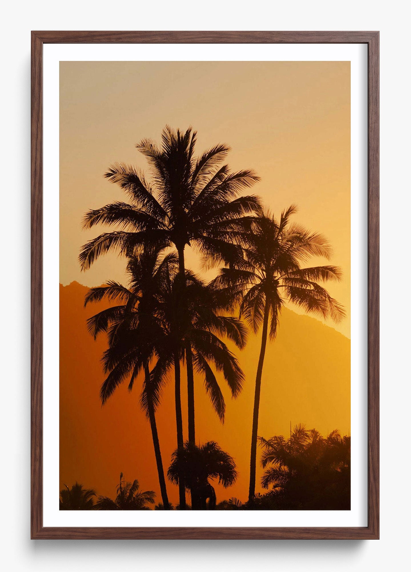 Palms At Sunrise