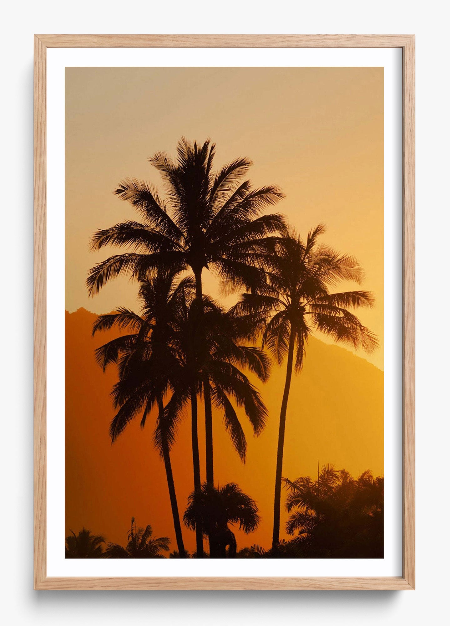Palms At Sunrise