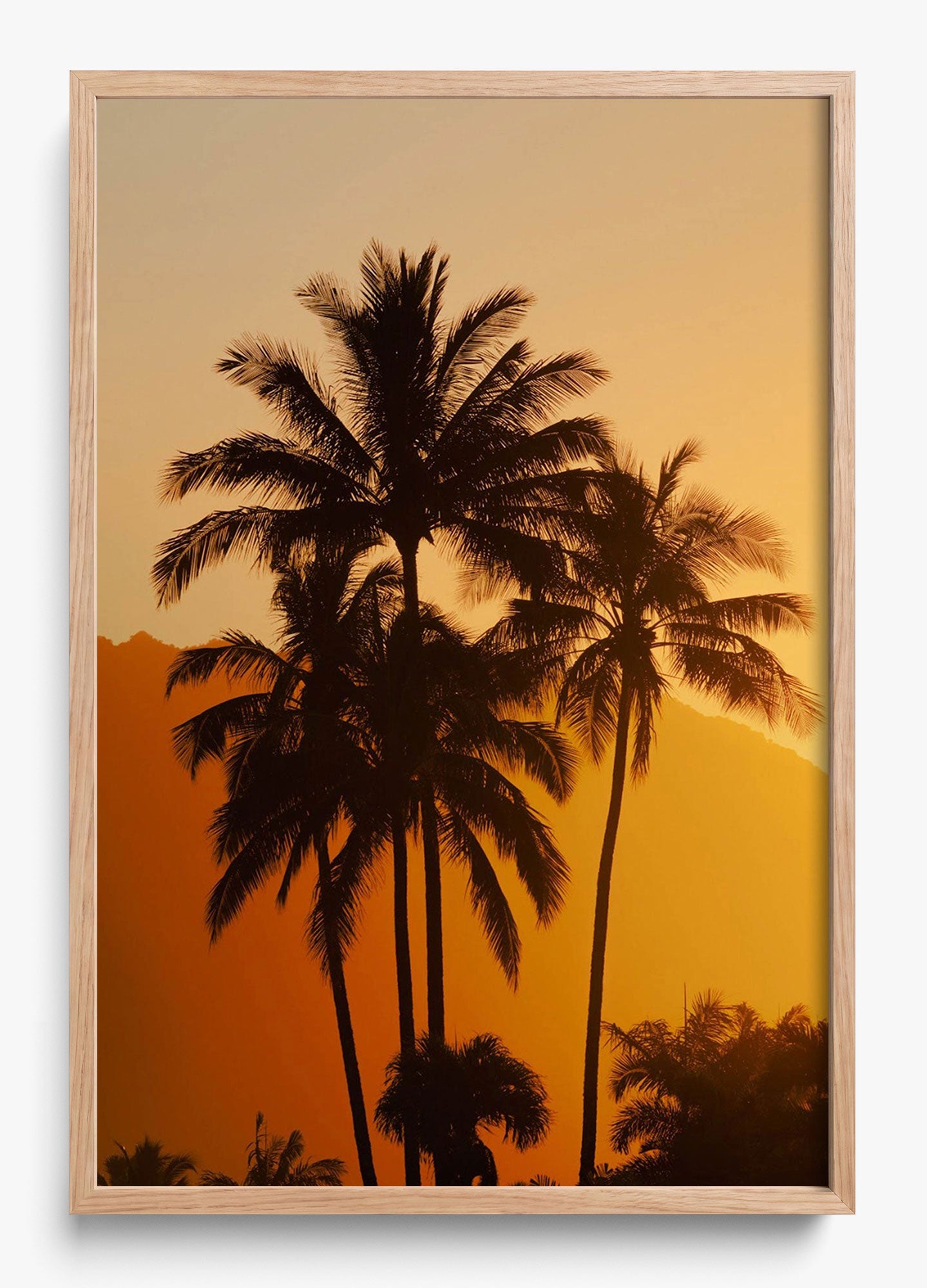 Palms At Sunrise