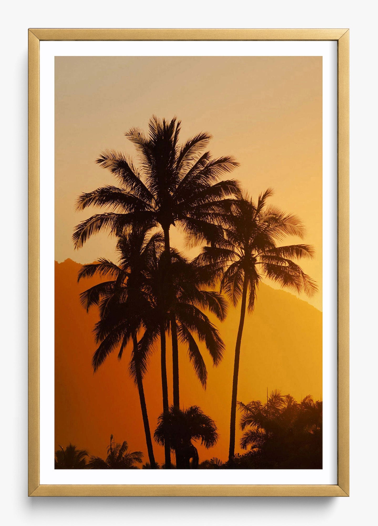 Palms At Sunrise