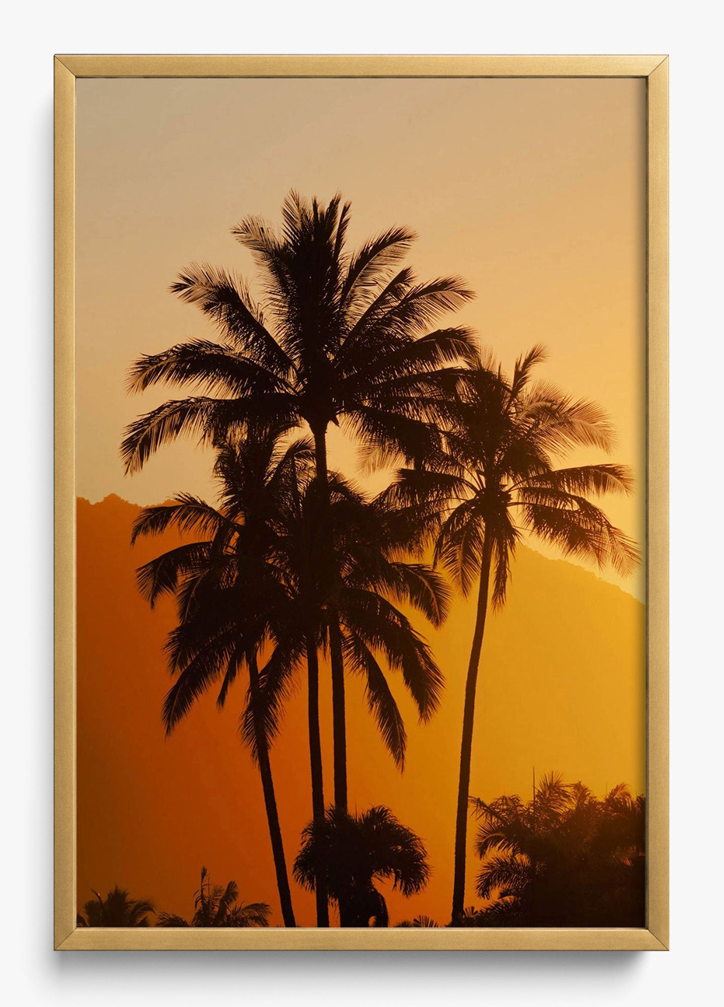 Palms At Sunrise