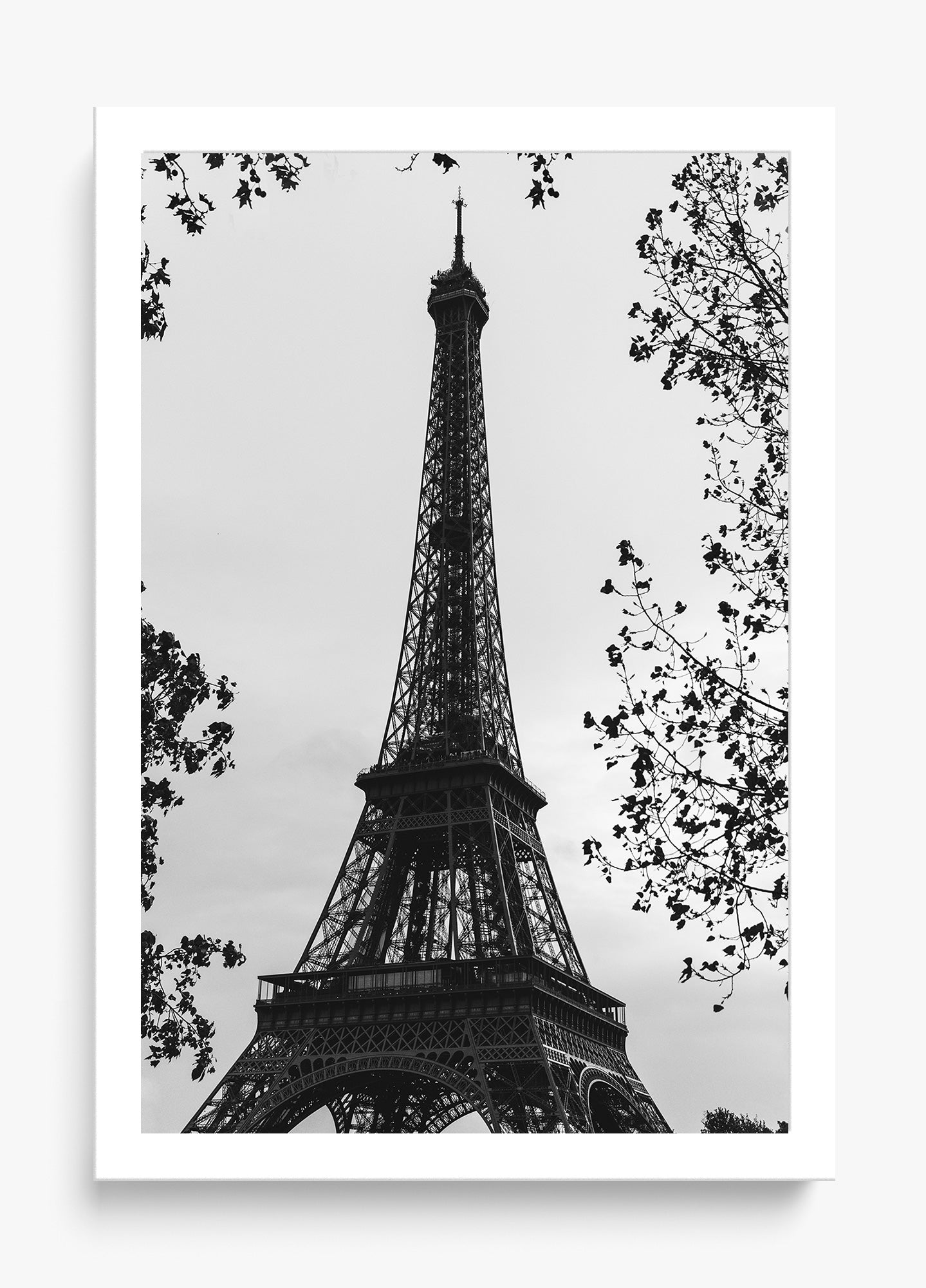My Paree