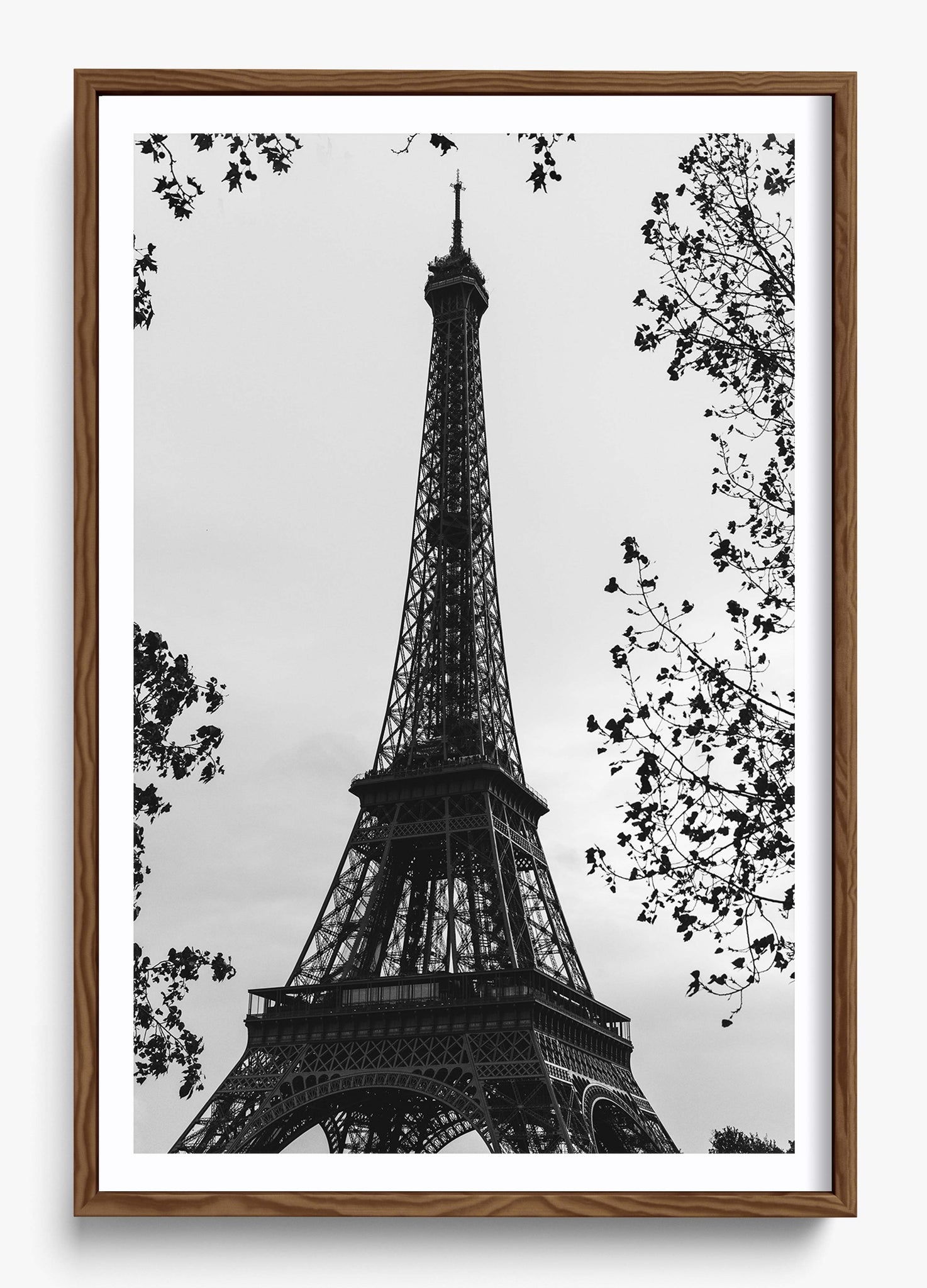My Paree