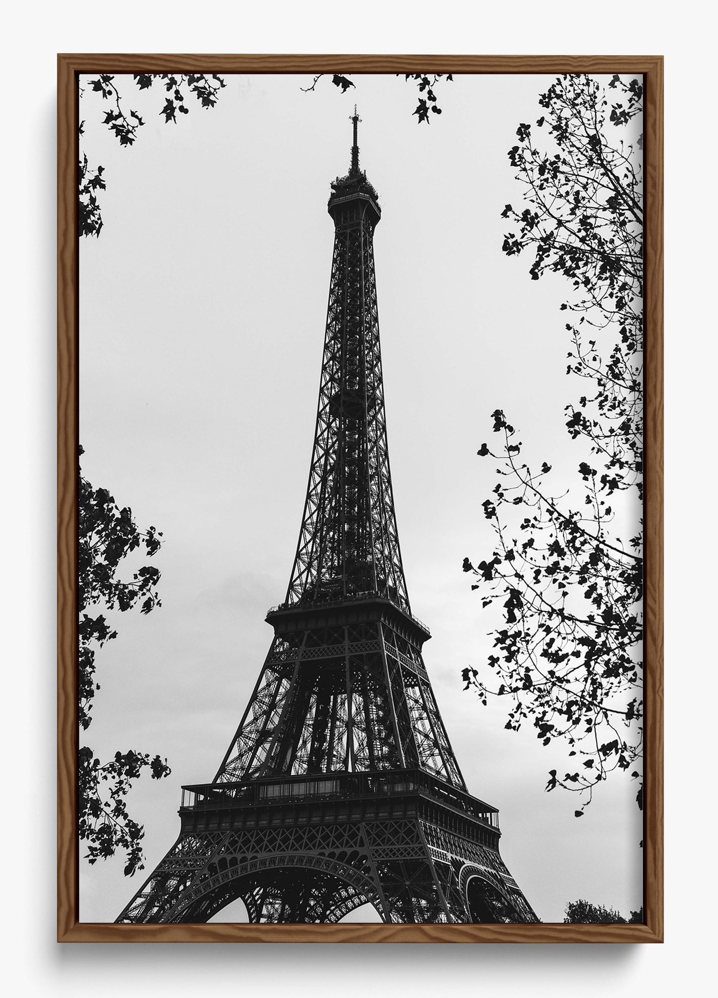 My Paree