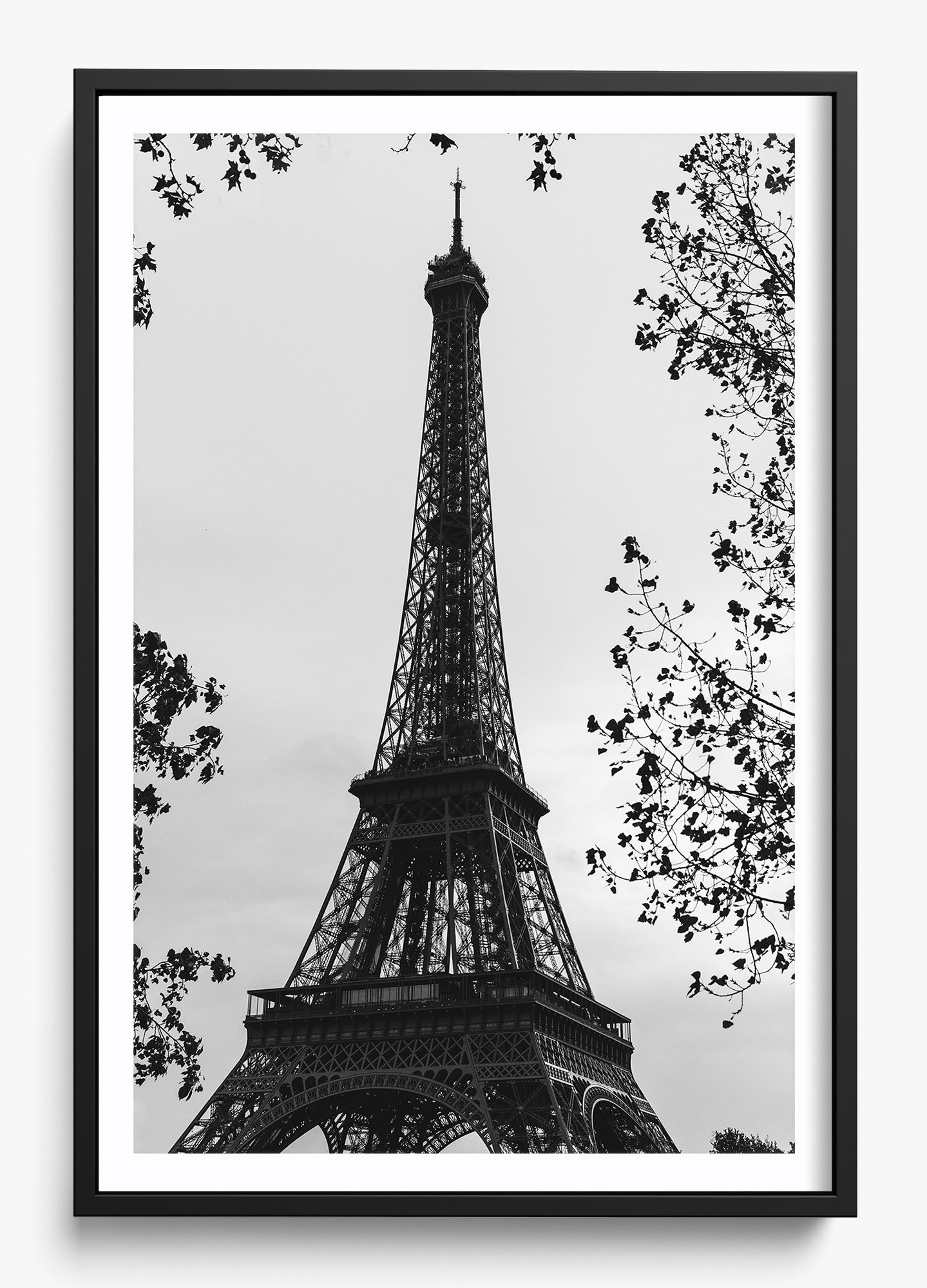 My Paree