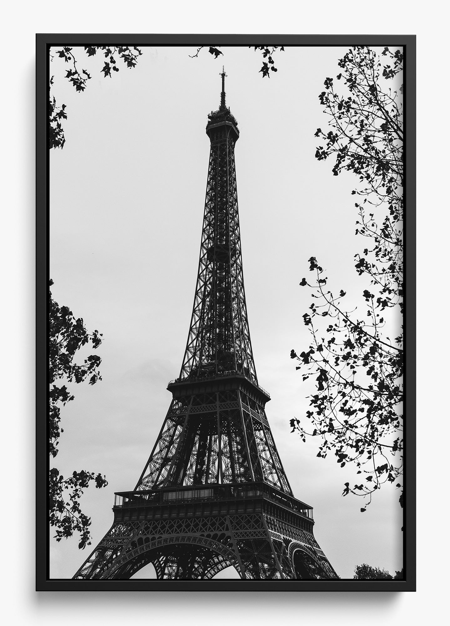 My Paree