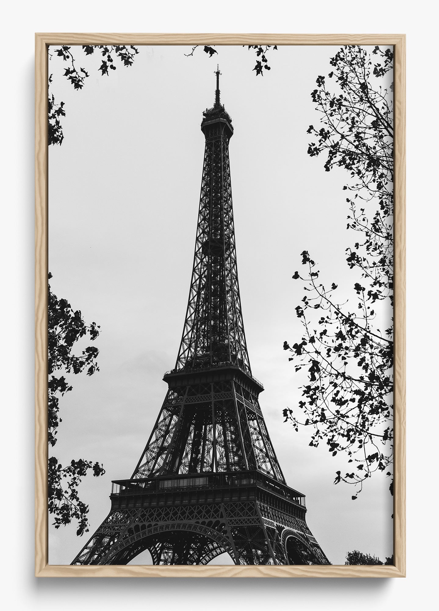 My Paree