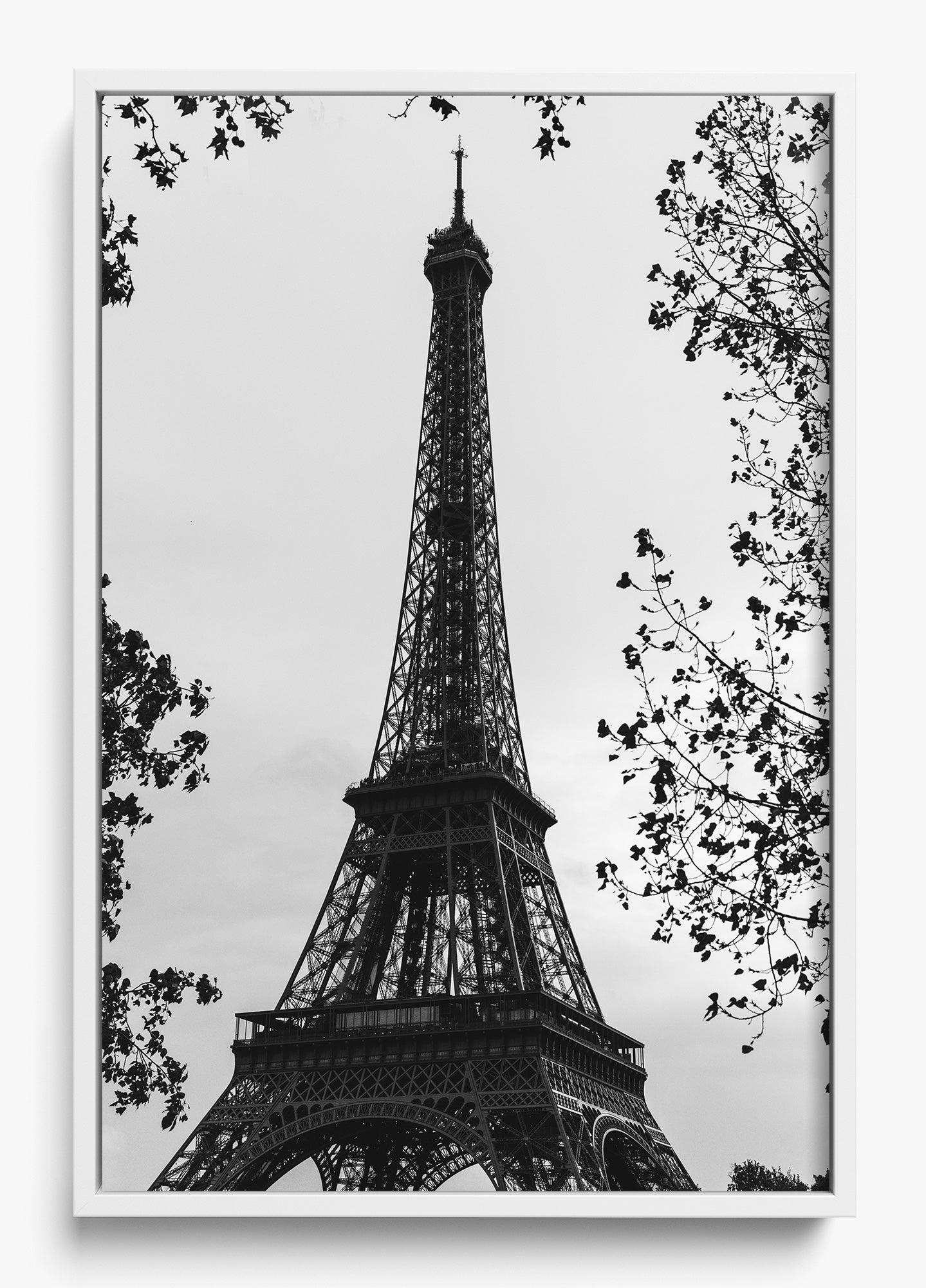 My Paree
